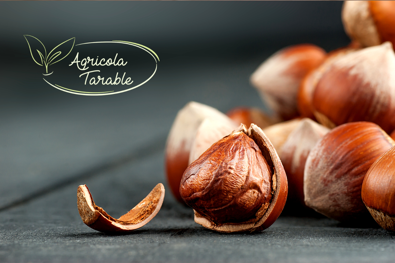 I PRODOTTI A BASE DI NOCCIOLE PIEMONTE IGP