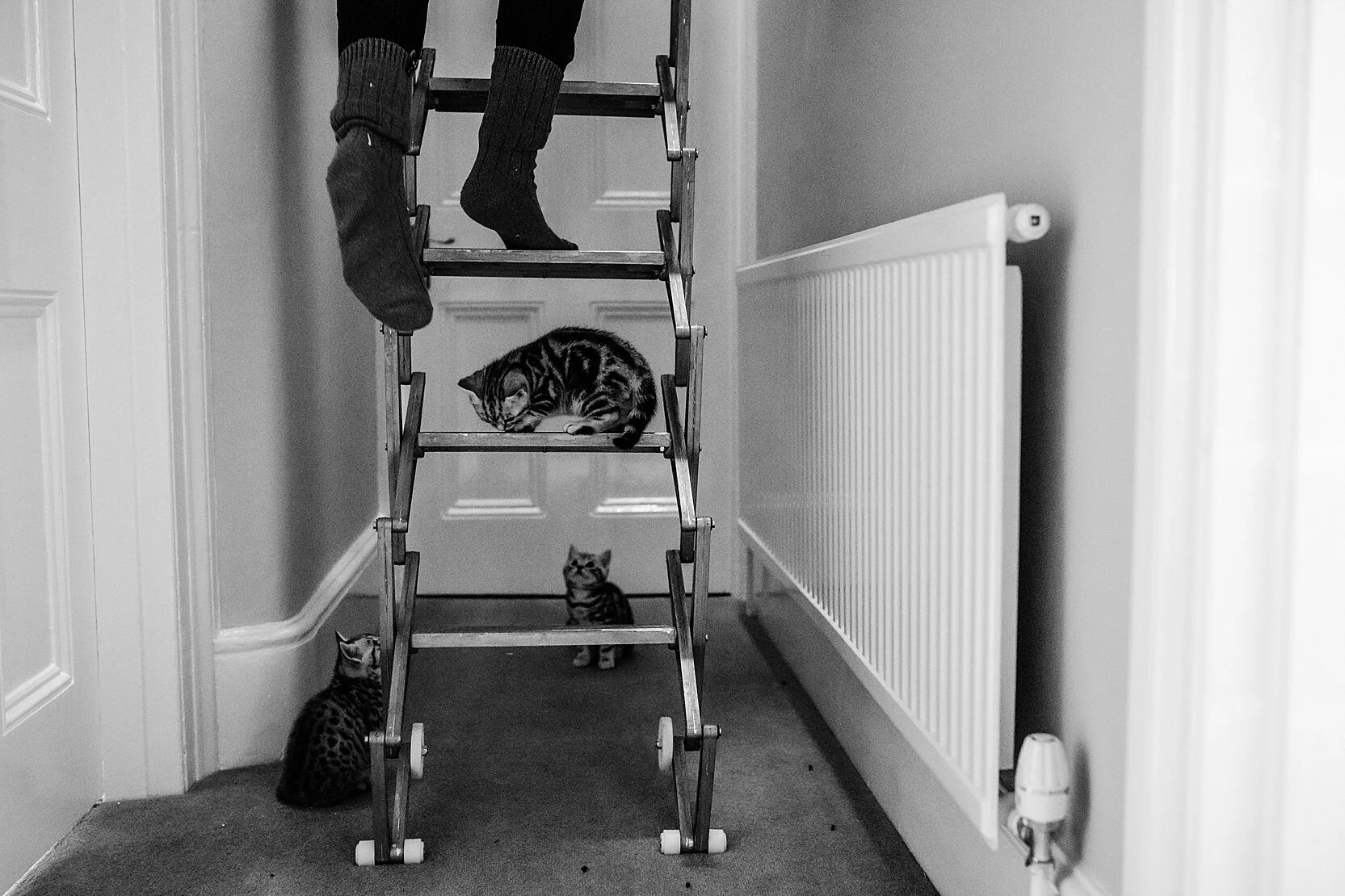 Self Isolation Blog_0016.jpg