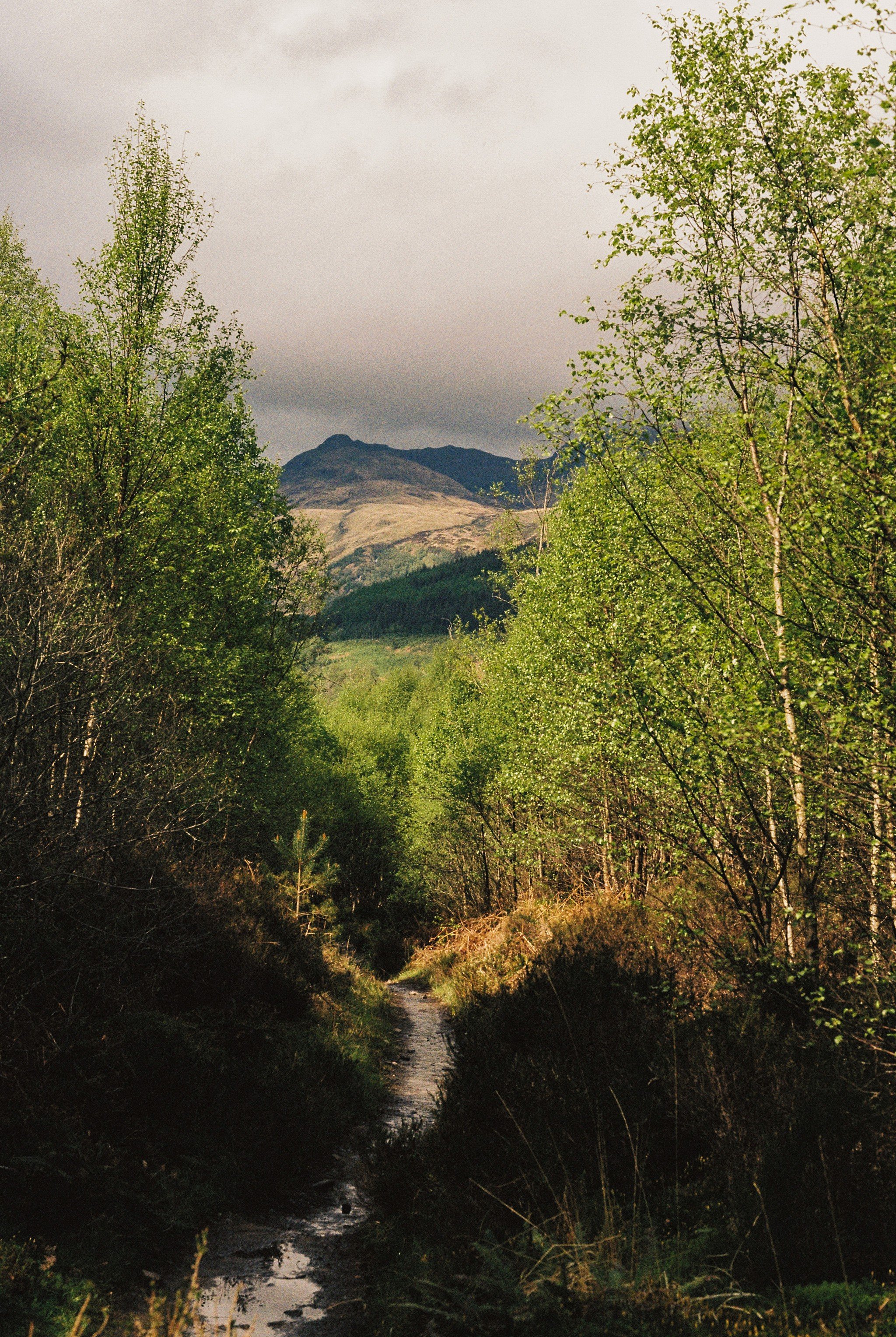 West Highland Way_0043.jpg