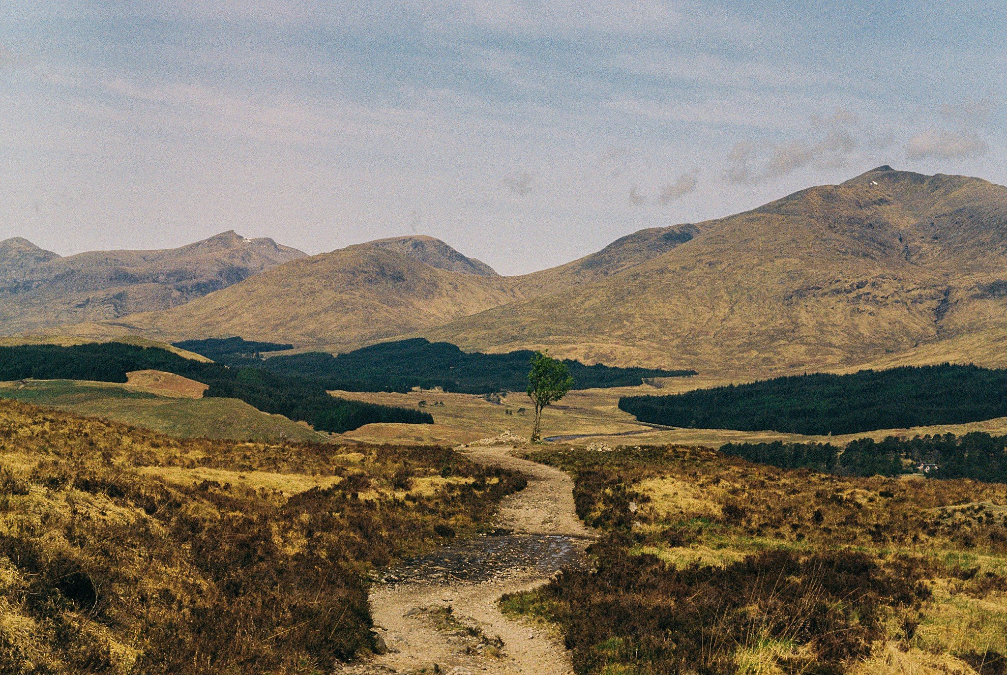 West Highland Way_0057.jpg