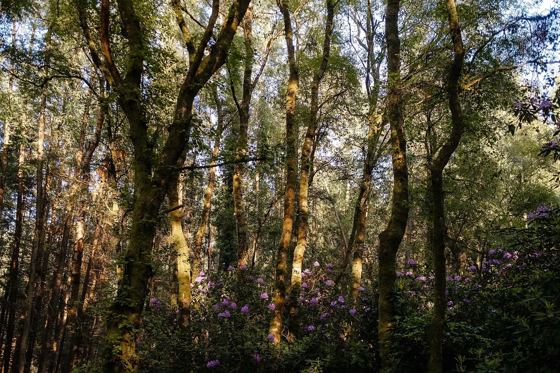 Living with our grief.