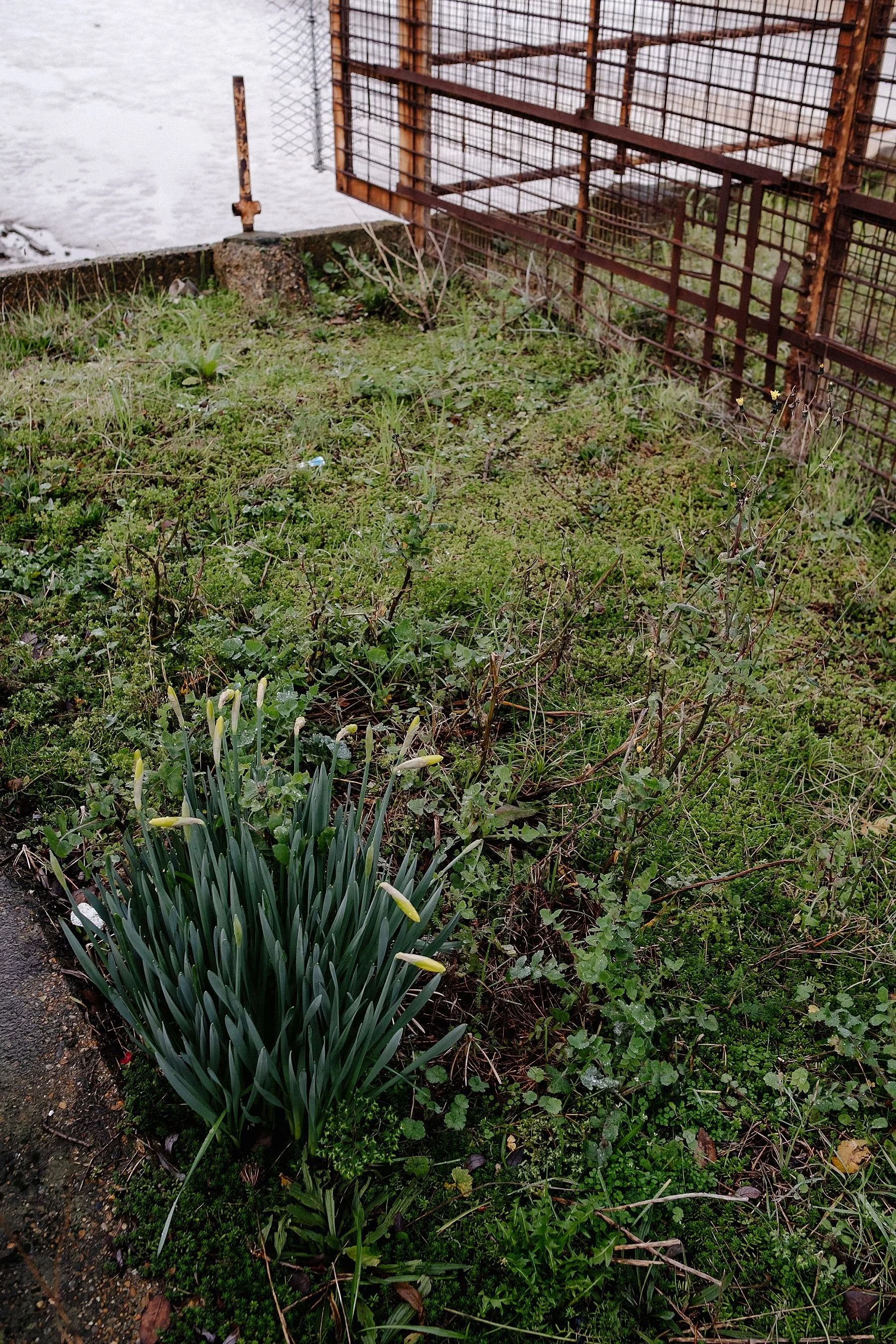 England Coast Path, Woolwich to Dartford.