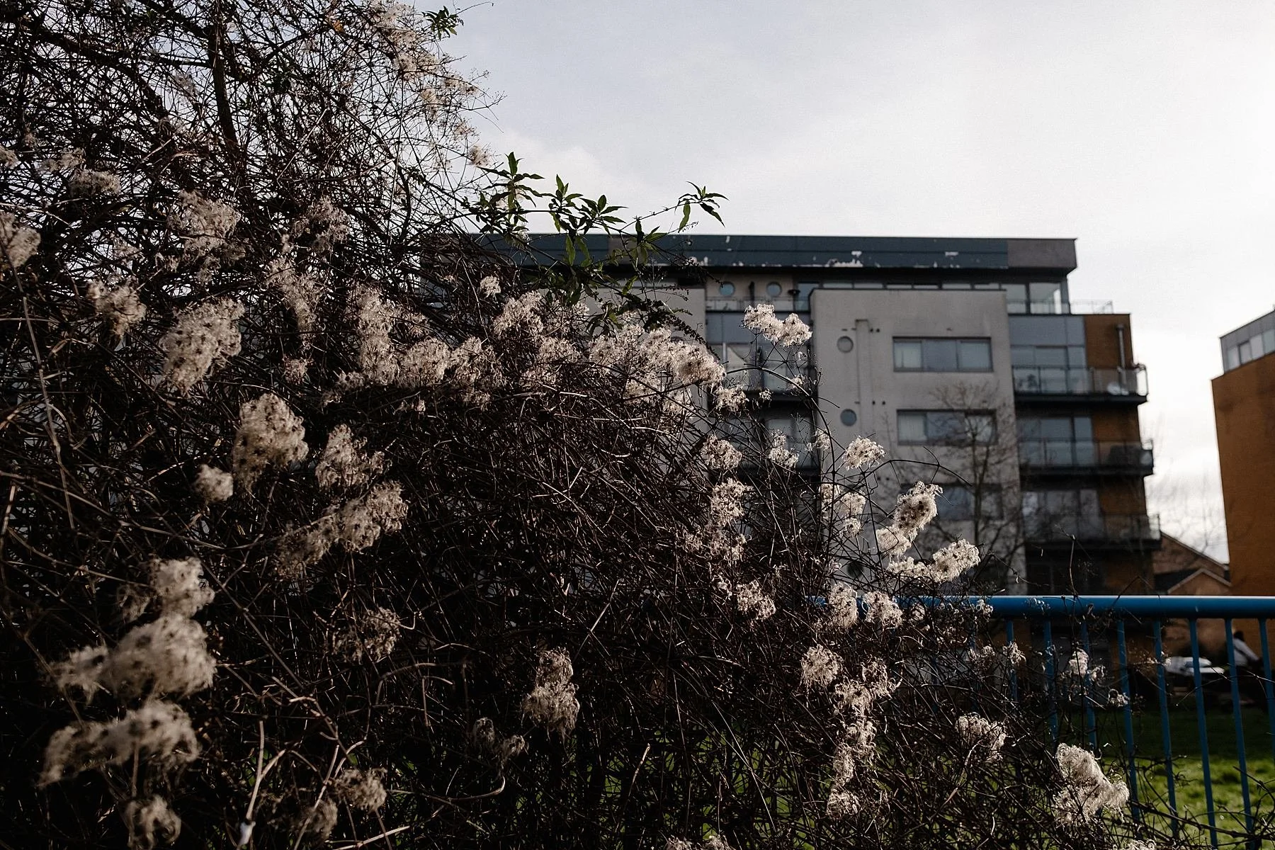 England Coast Path, Woolwich to Dartford.