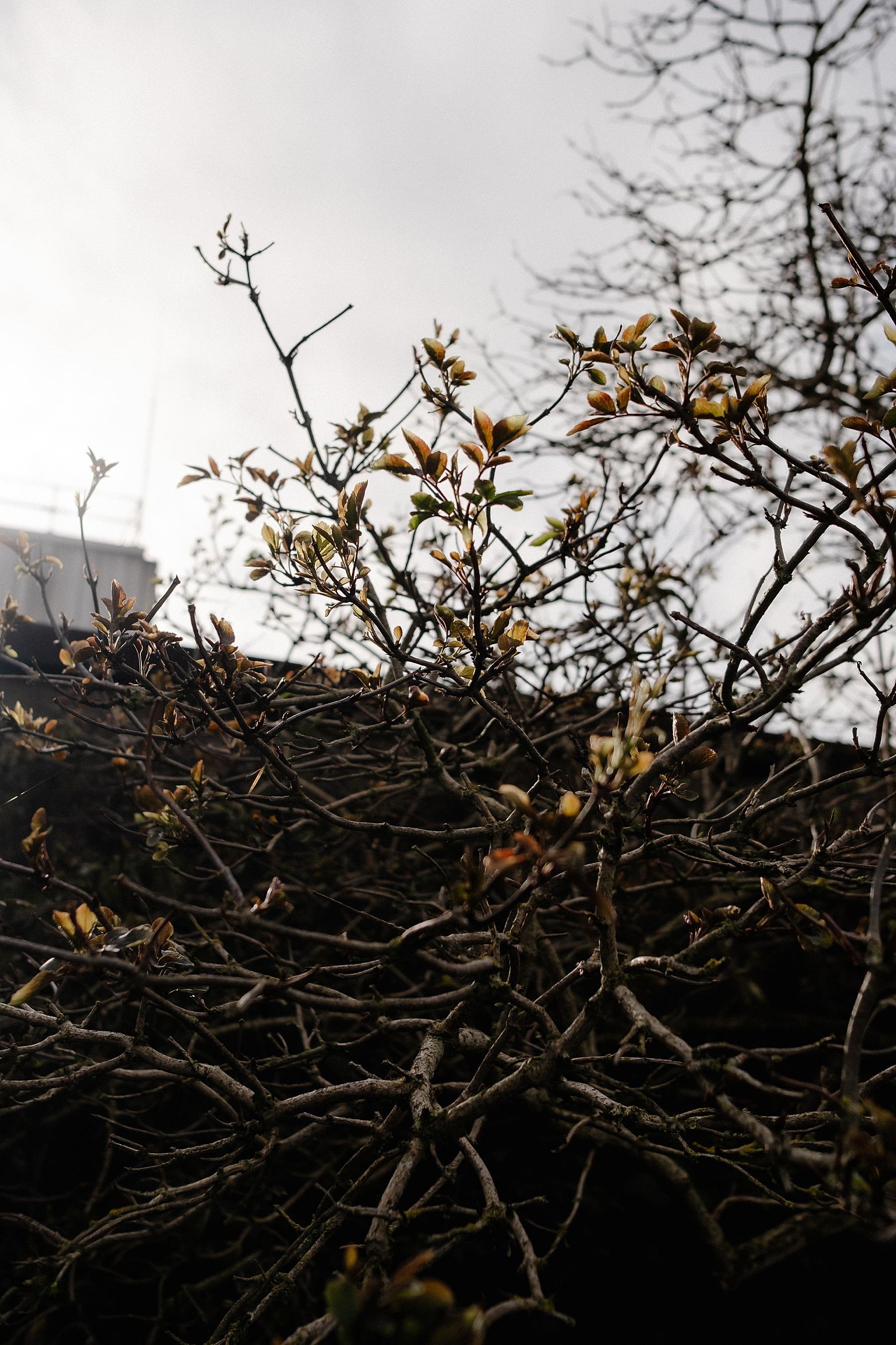 England Coast Path, Woolwich to Dartford.
