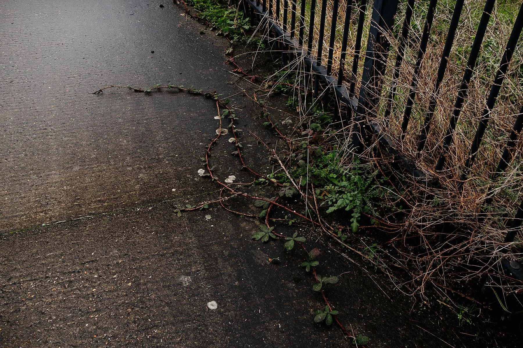England Coast Path, Woolwich to Dartford.