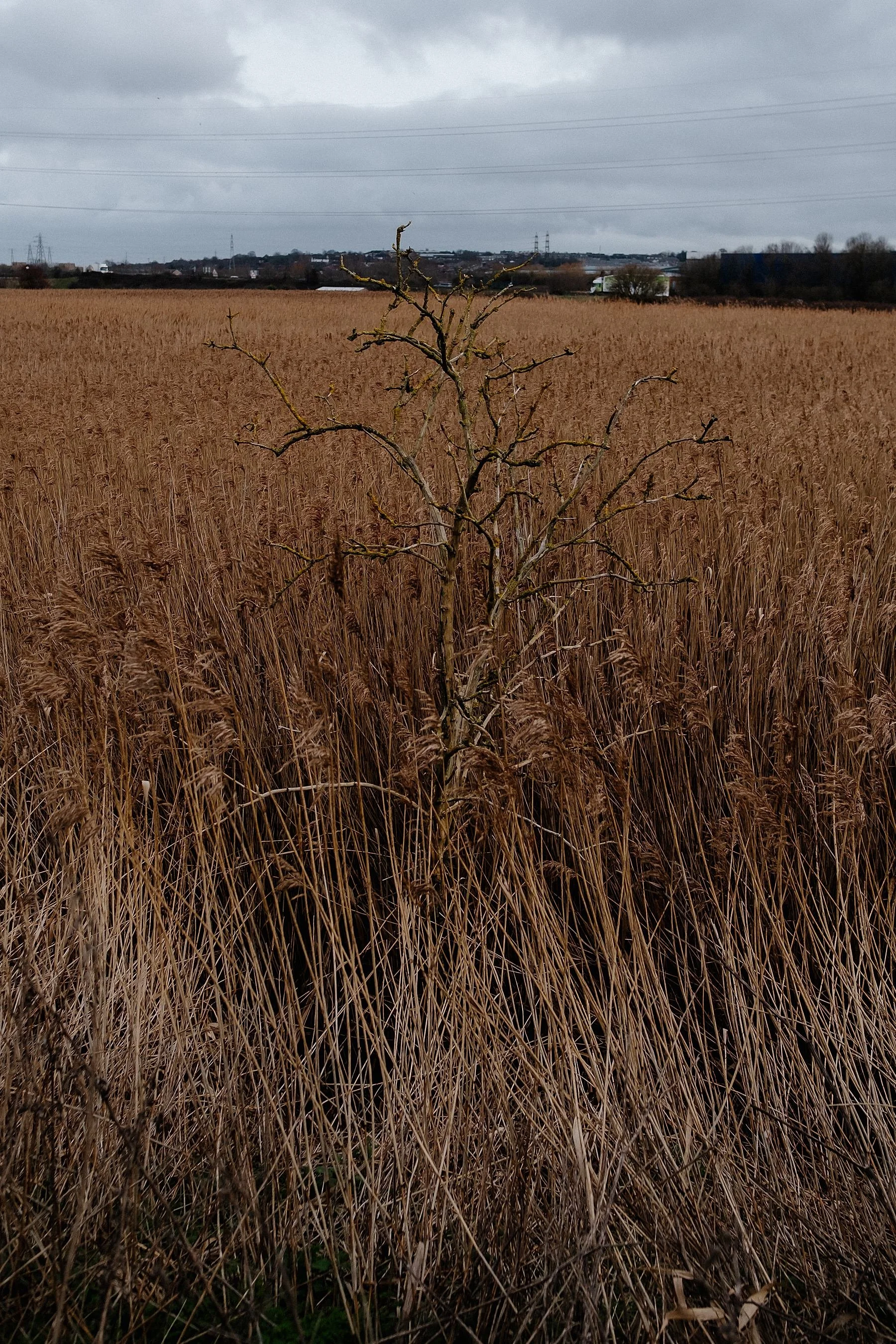 England Coast Path, Woolwich to Dartford.