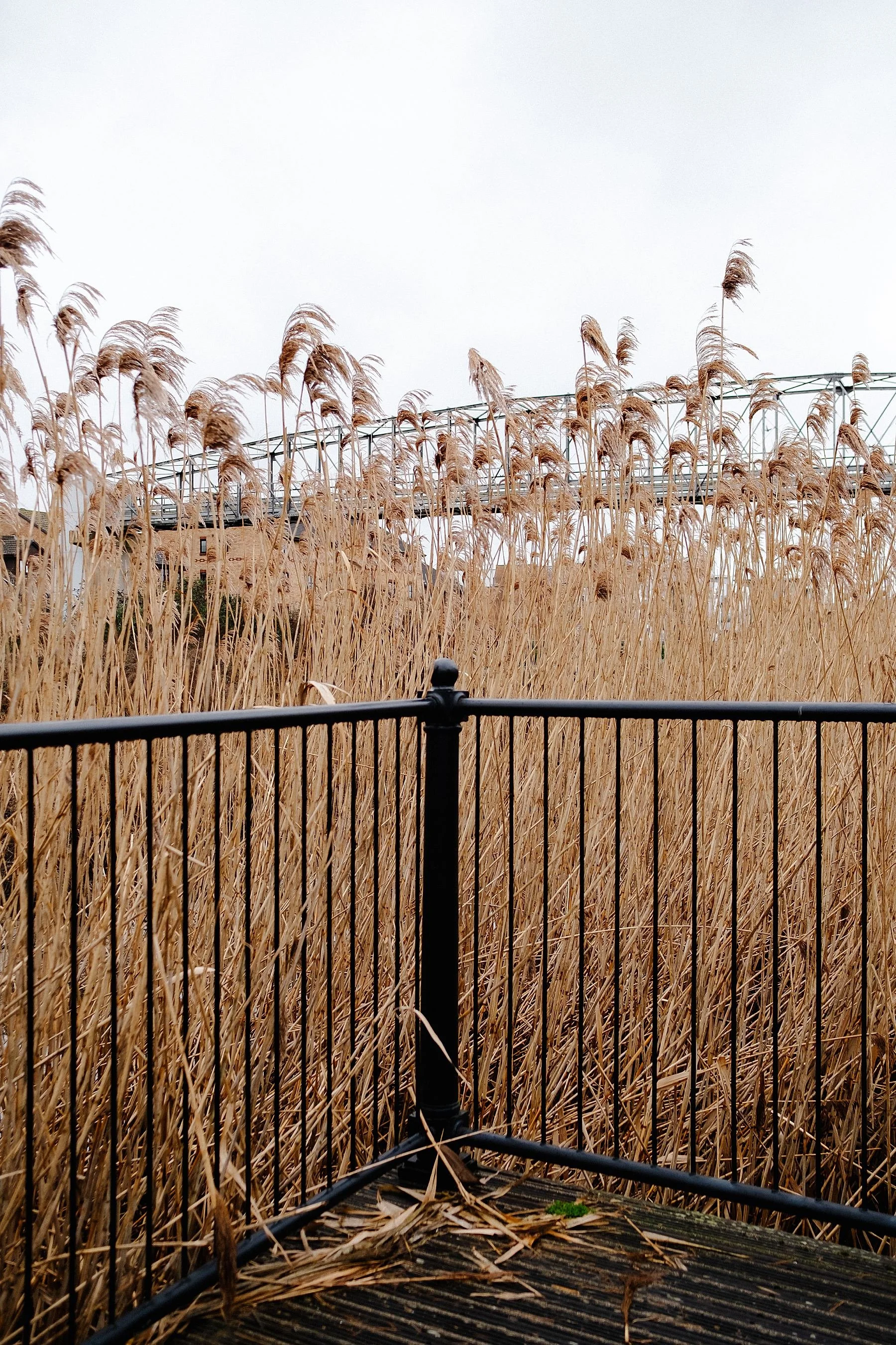 Dartford to Gravesend, England Coast Path Walk