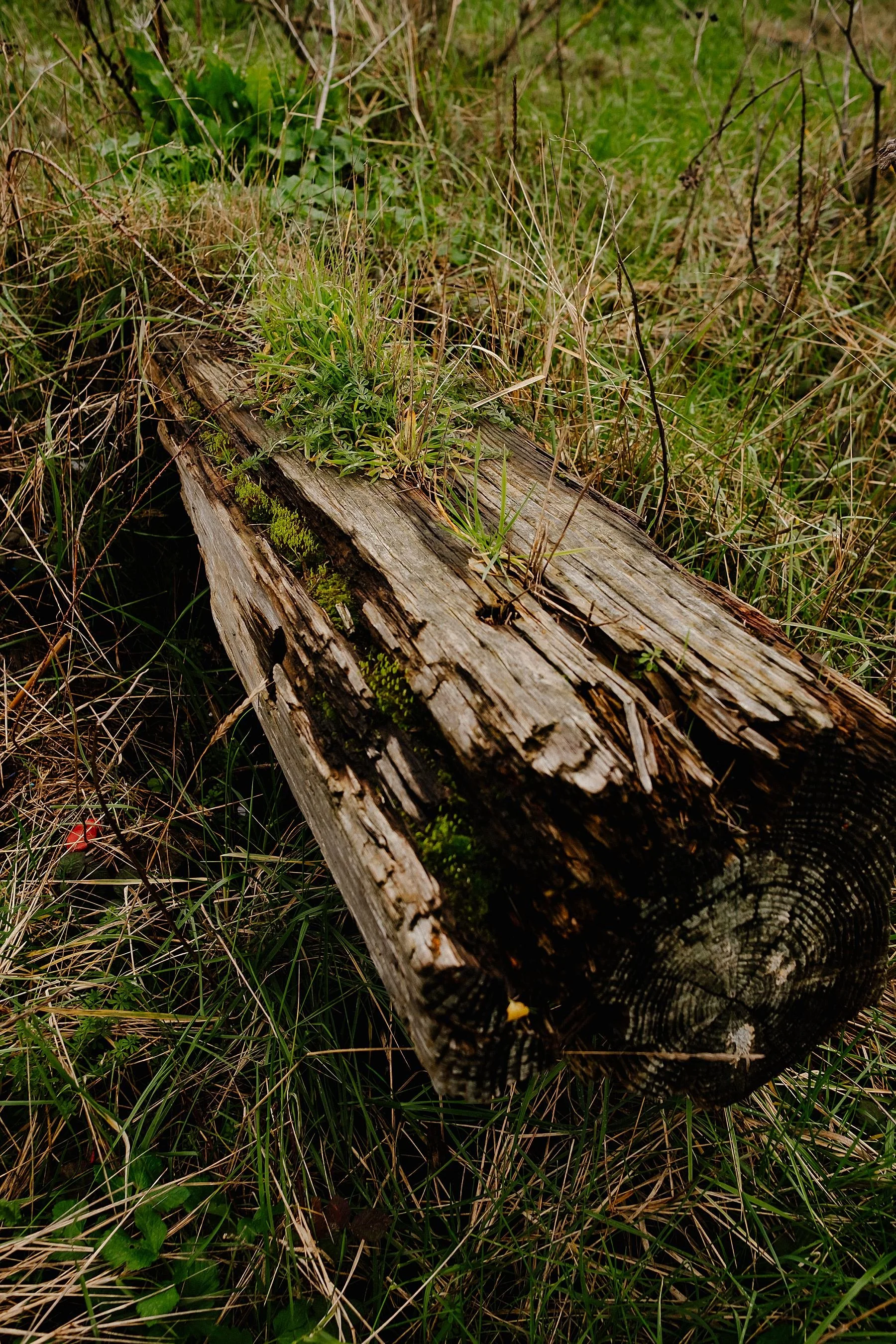 Dartford to Gravesend, England Coast Path Walk