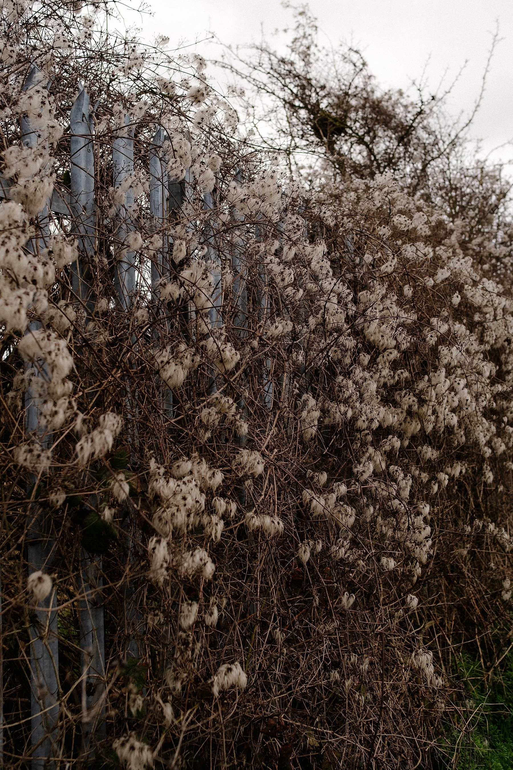 Dartford to Gravesend, England Coast Path Walk