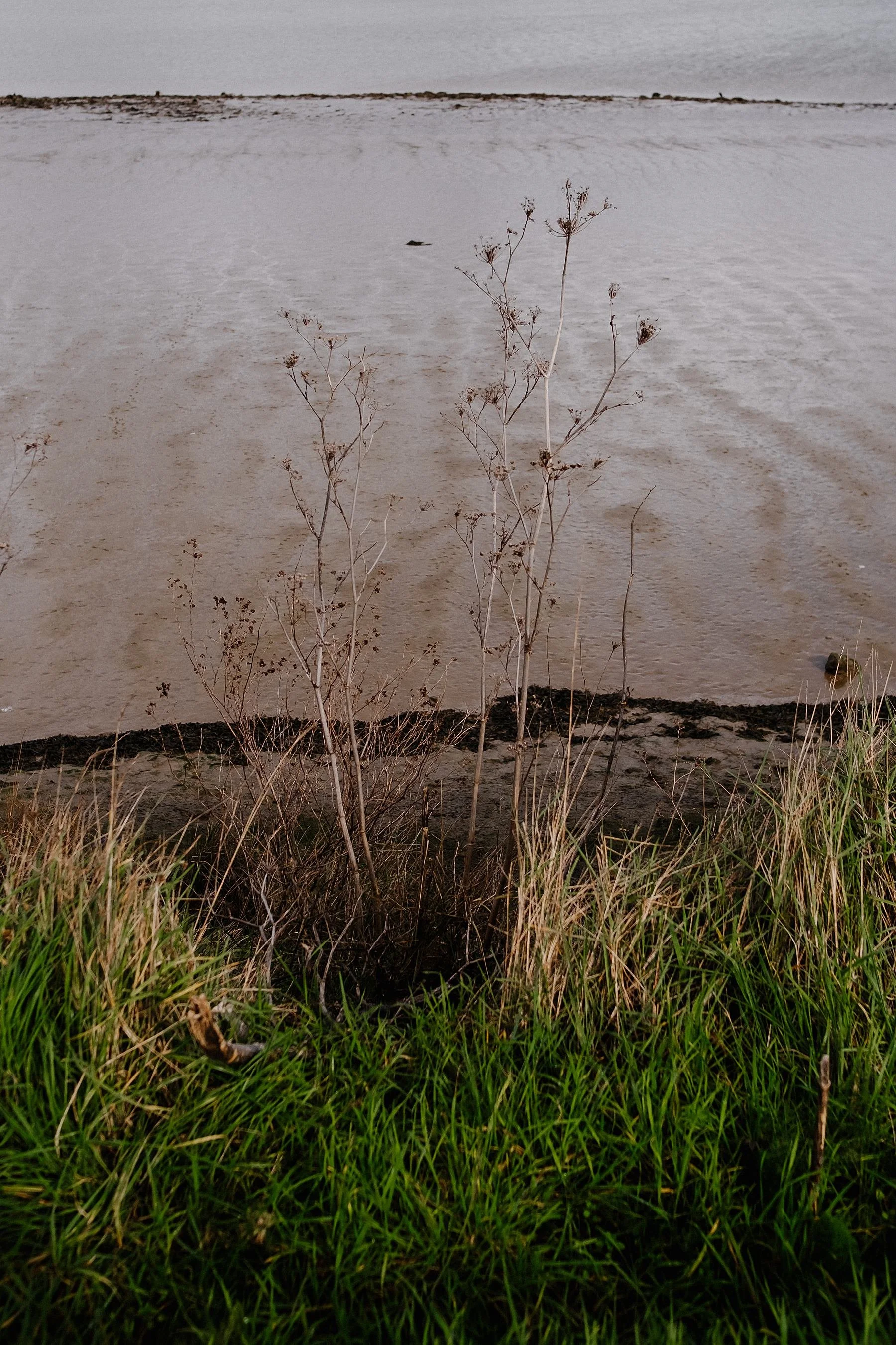 Dartford to Gravesend, England Coast Path Walk