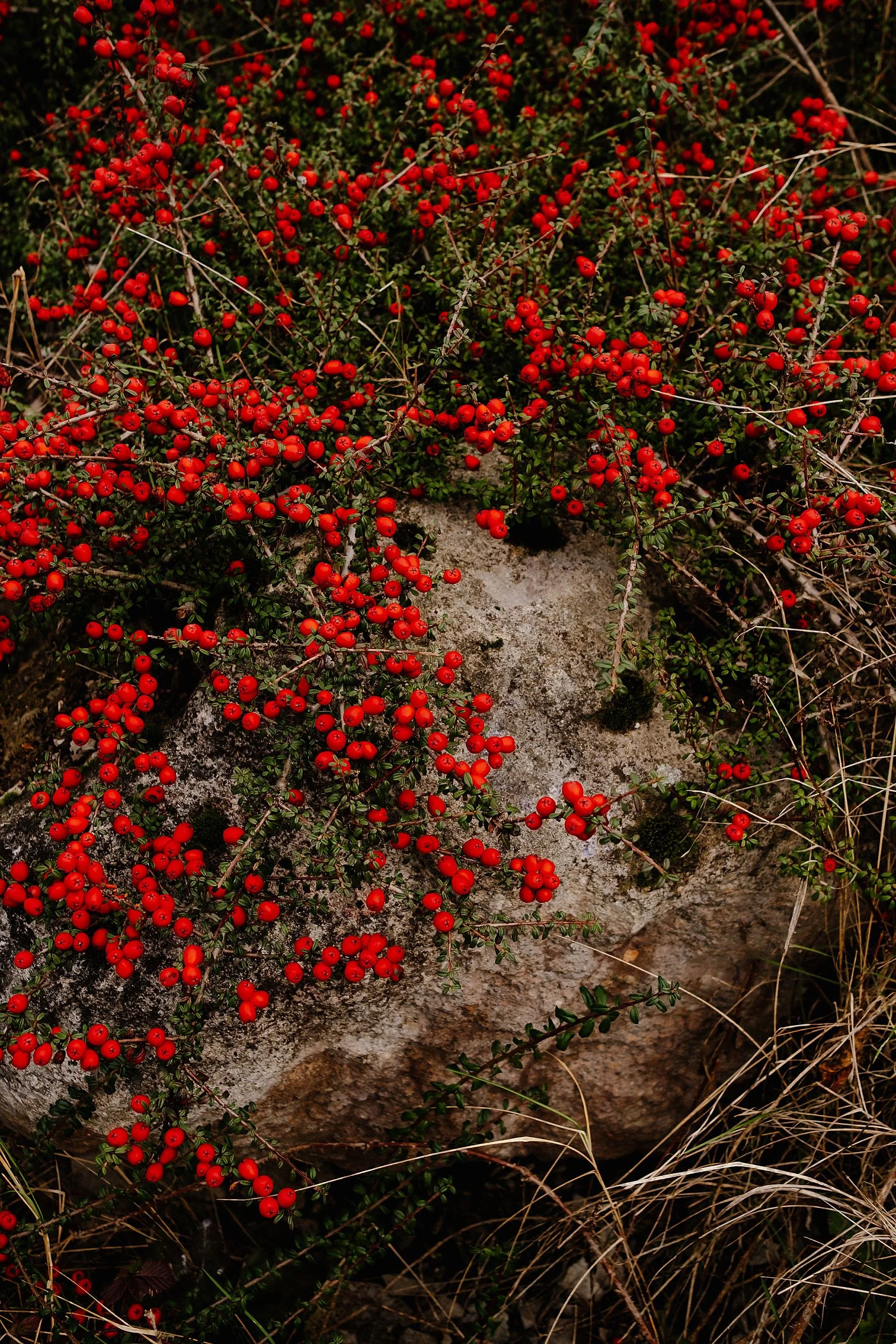 Dartford to Gravesend, England Coast Path Walk