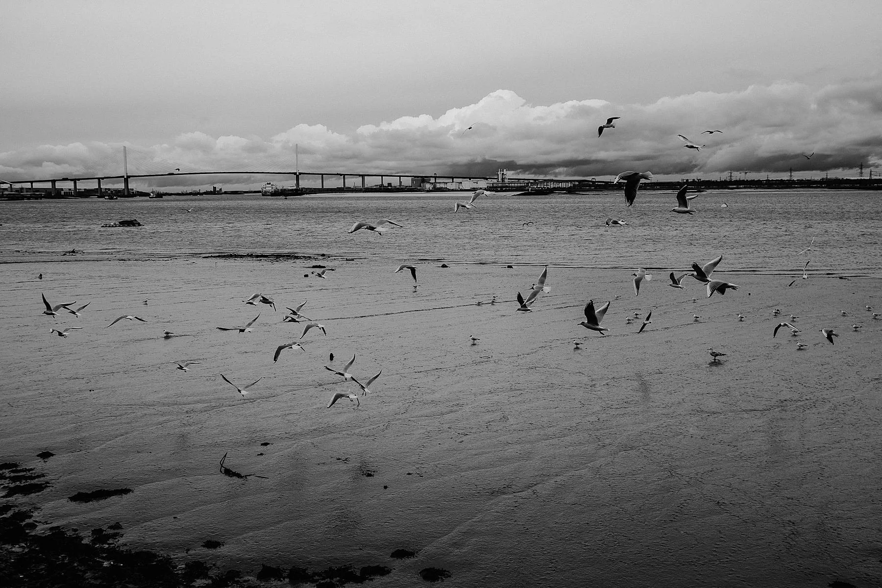 The England Coast Path, 27/3500 Dartford to Gravesend.