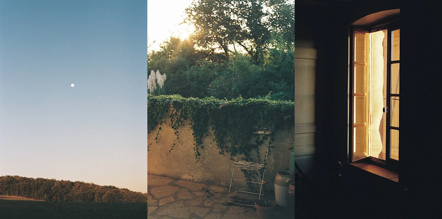 What happens in a somatic therapy session?