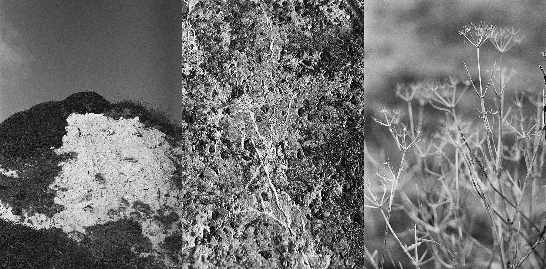 Imbolc and the wheel of the year.