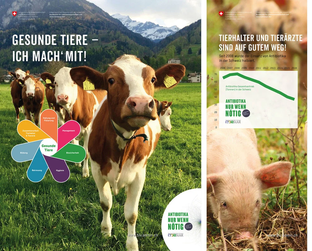 Messewände+BLV+zum+Antibiotikaeinsatz+bei+Tieren.jpg