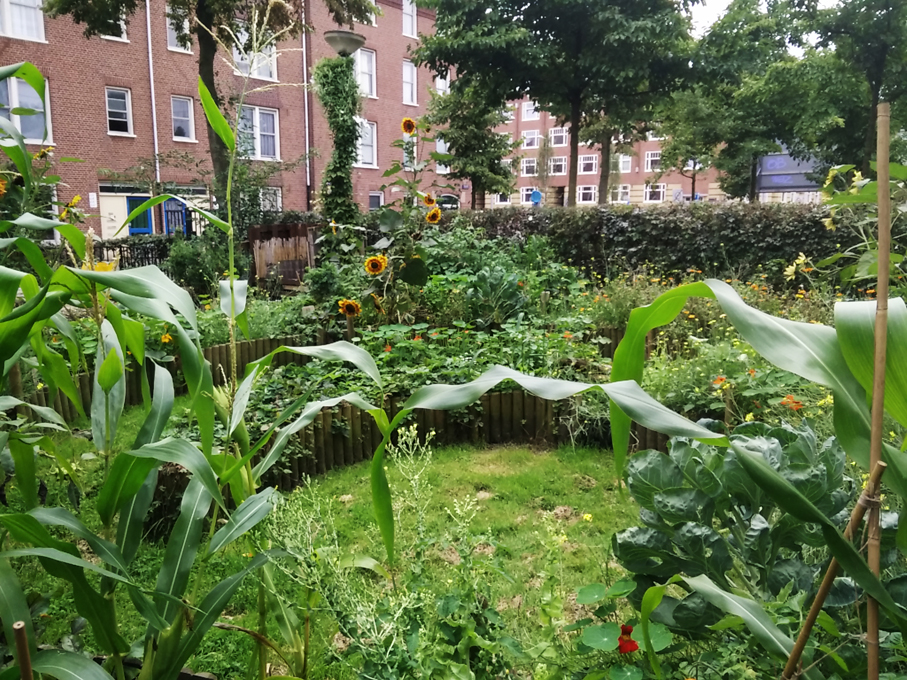 tugelhuiskindertuin_10.jpg