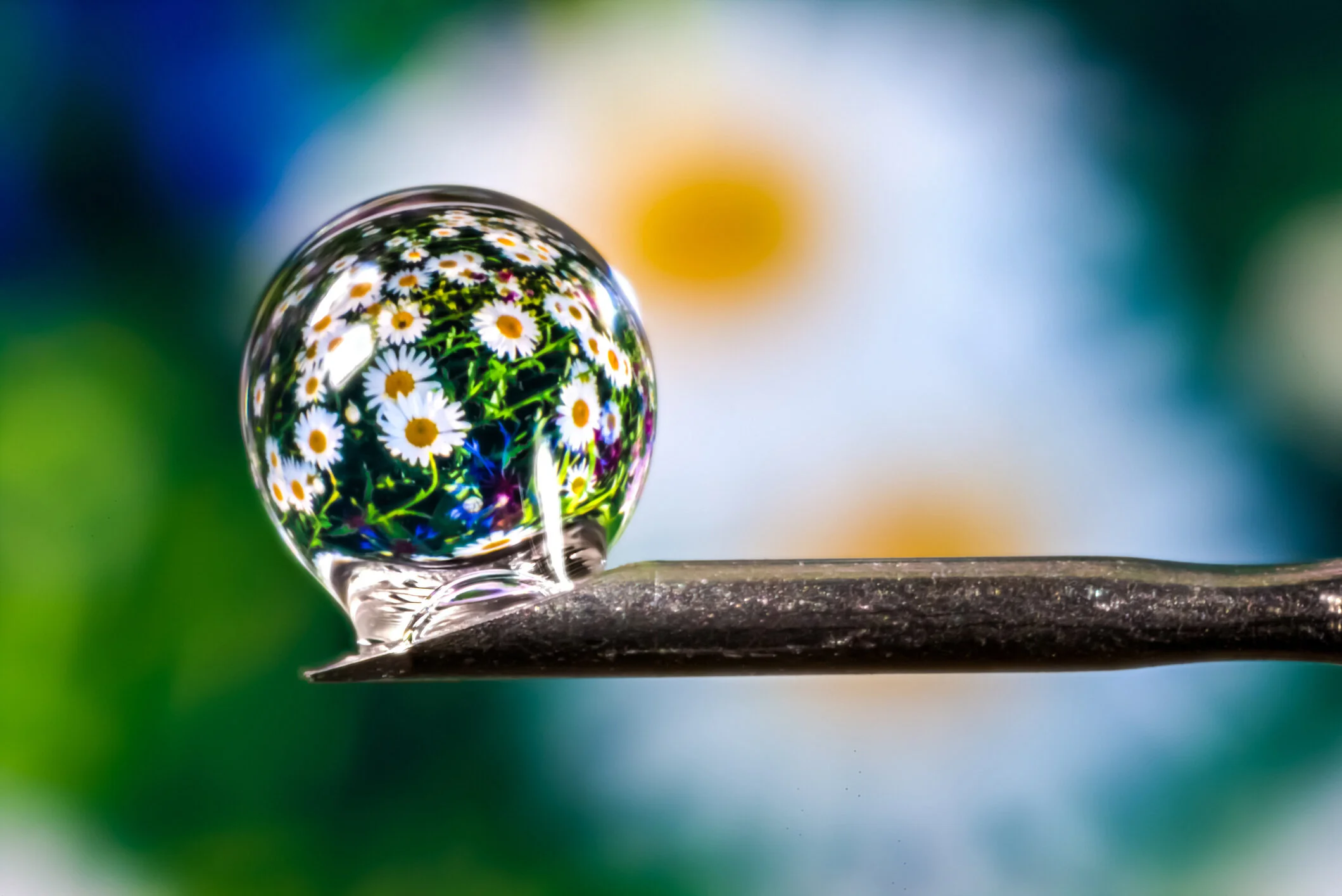 INTRODUCTION TO PERMACULTURE