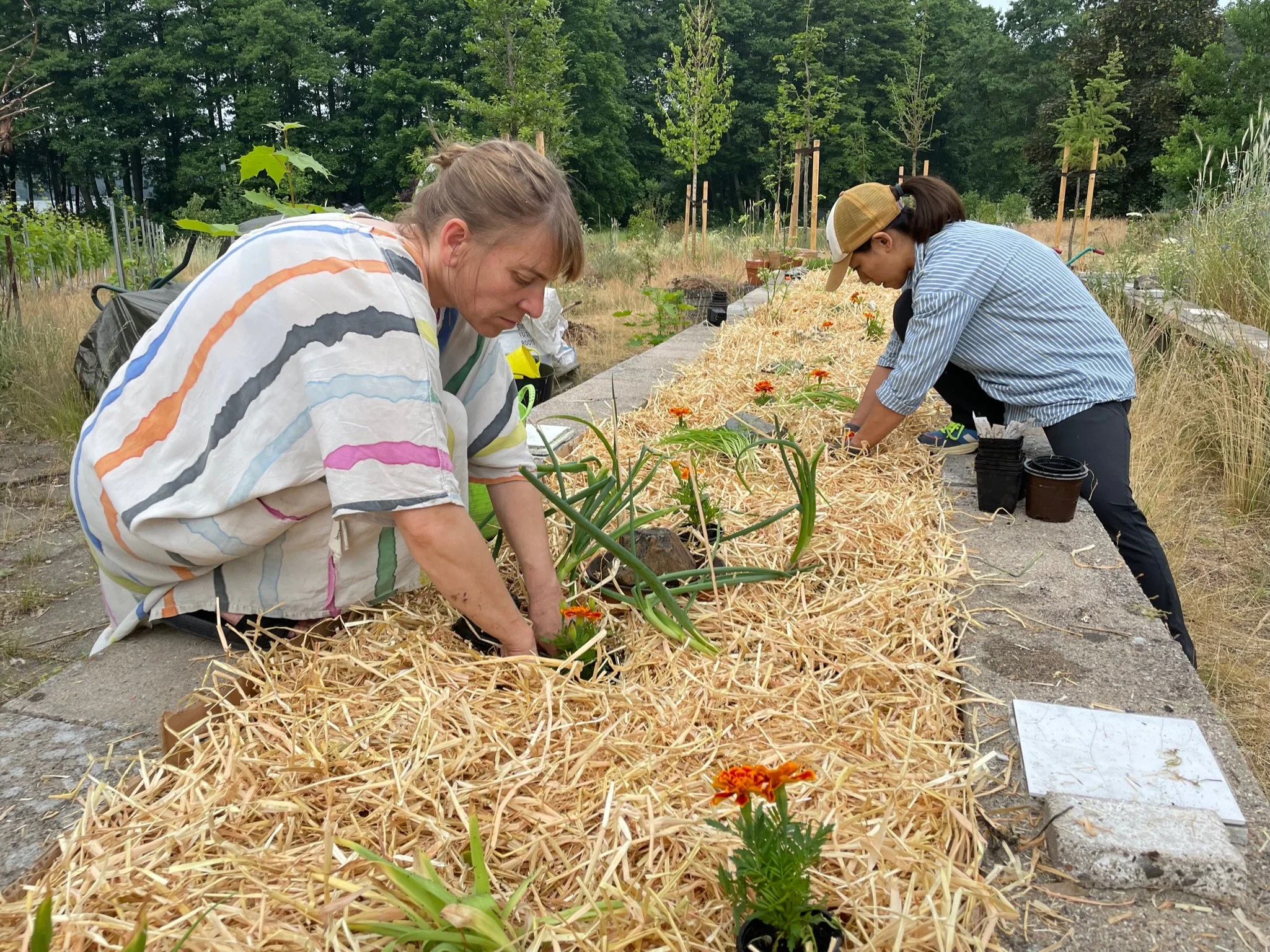 PERMACULTURE WORKDAYS 2024