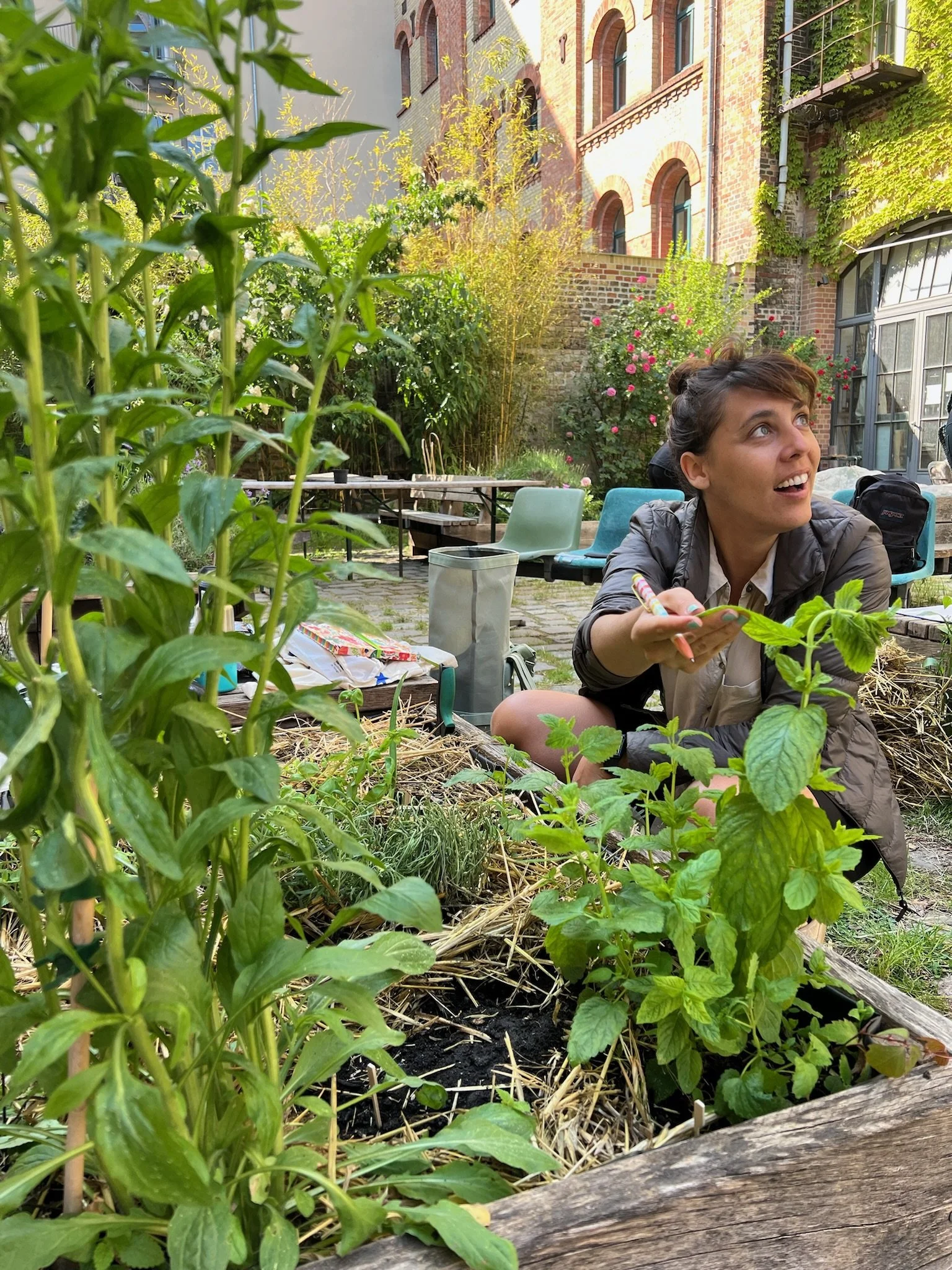 YEAR SERIES 2024: SOW IT! GROW IT! EAT IT!