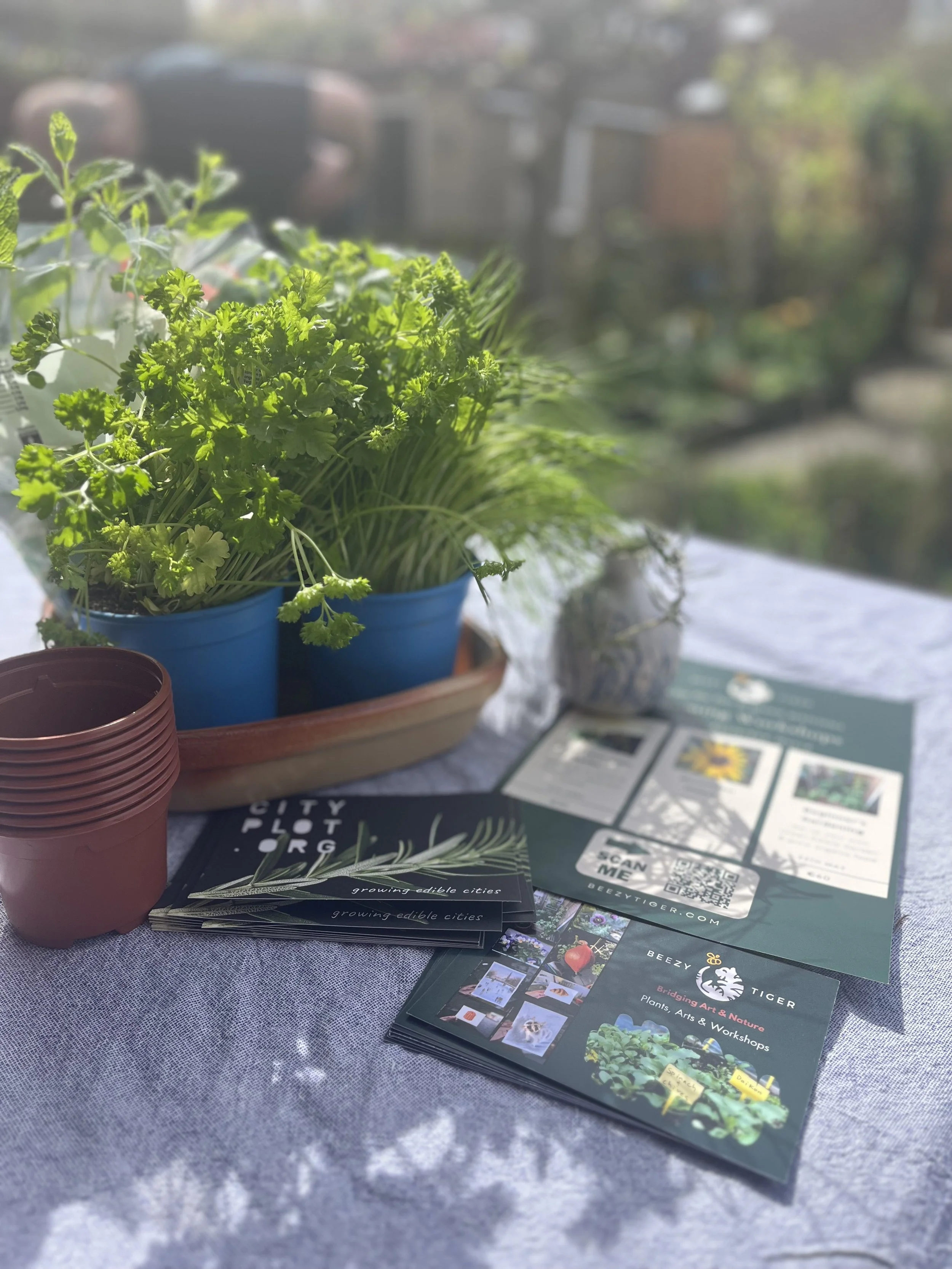 Grow your own herbs