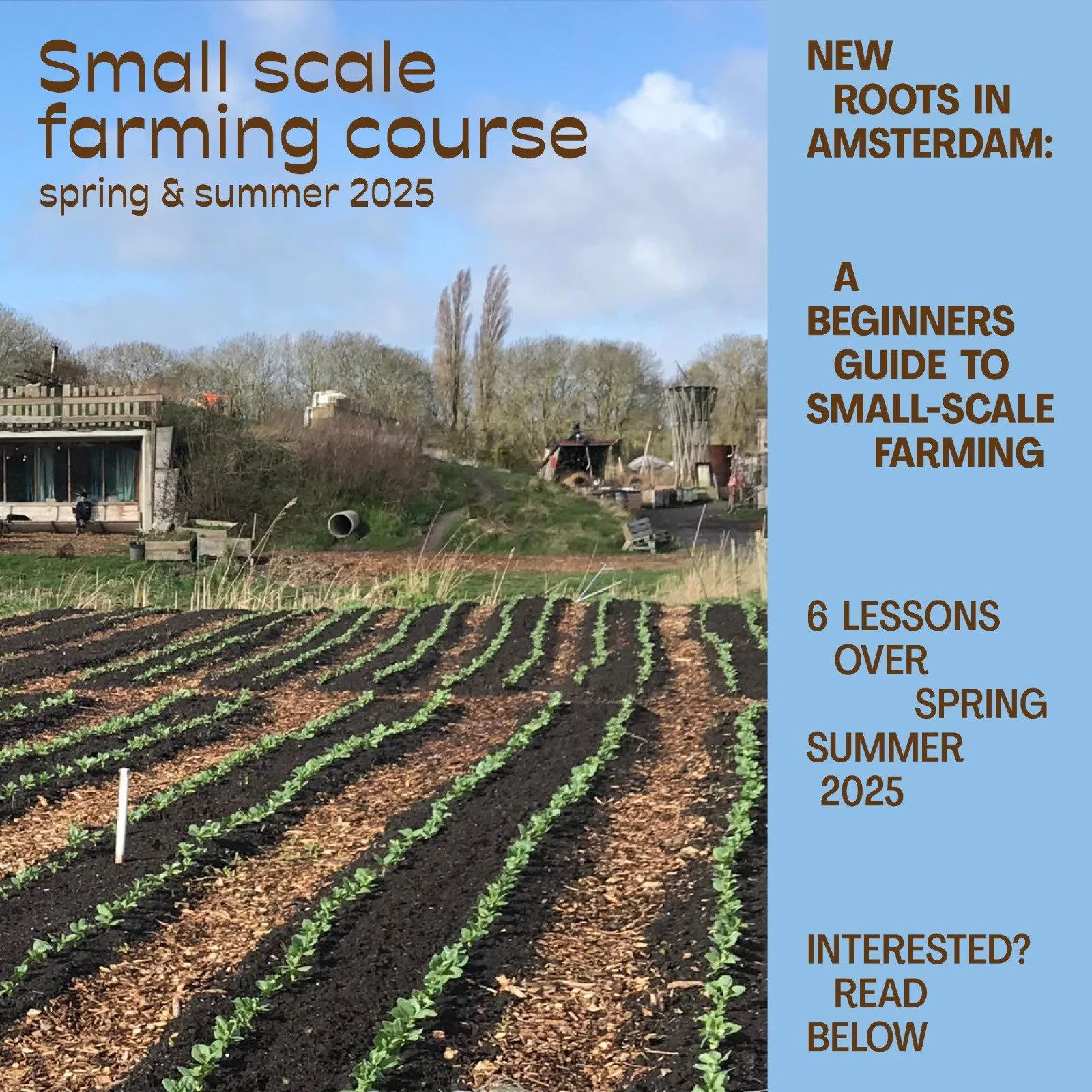 New roots in Amsterdam: a beginners guide to small-scale farming