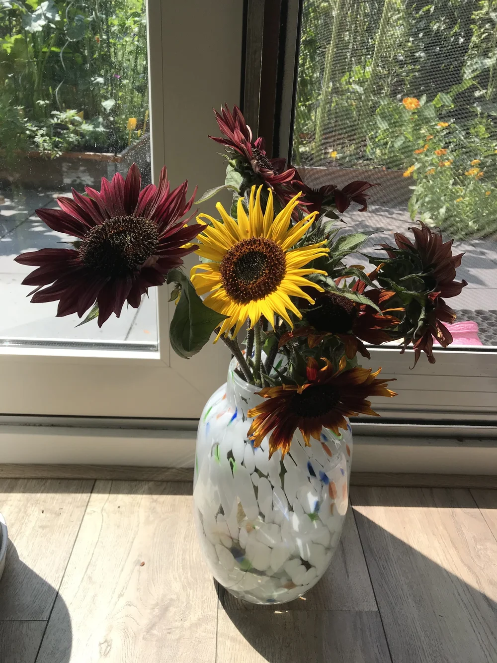 13.sunflowers in vase 2.jpeg