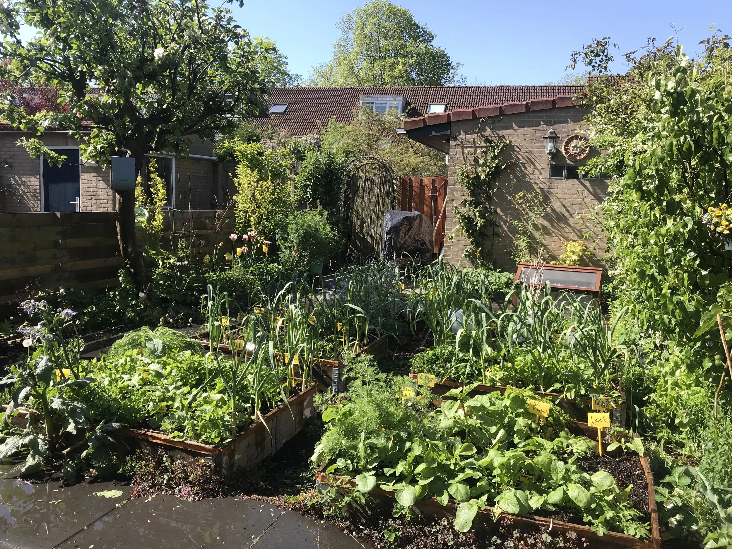 17.year 2 garden 2.jpeg