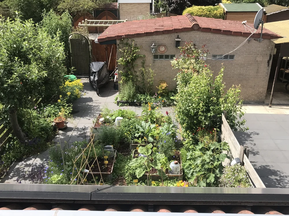 21.ariel garden view 3rd year.jpeg