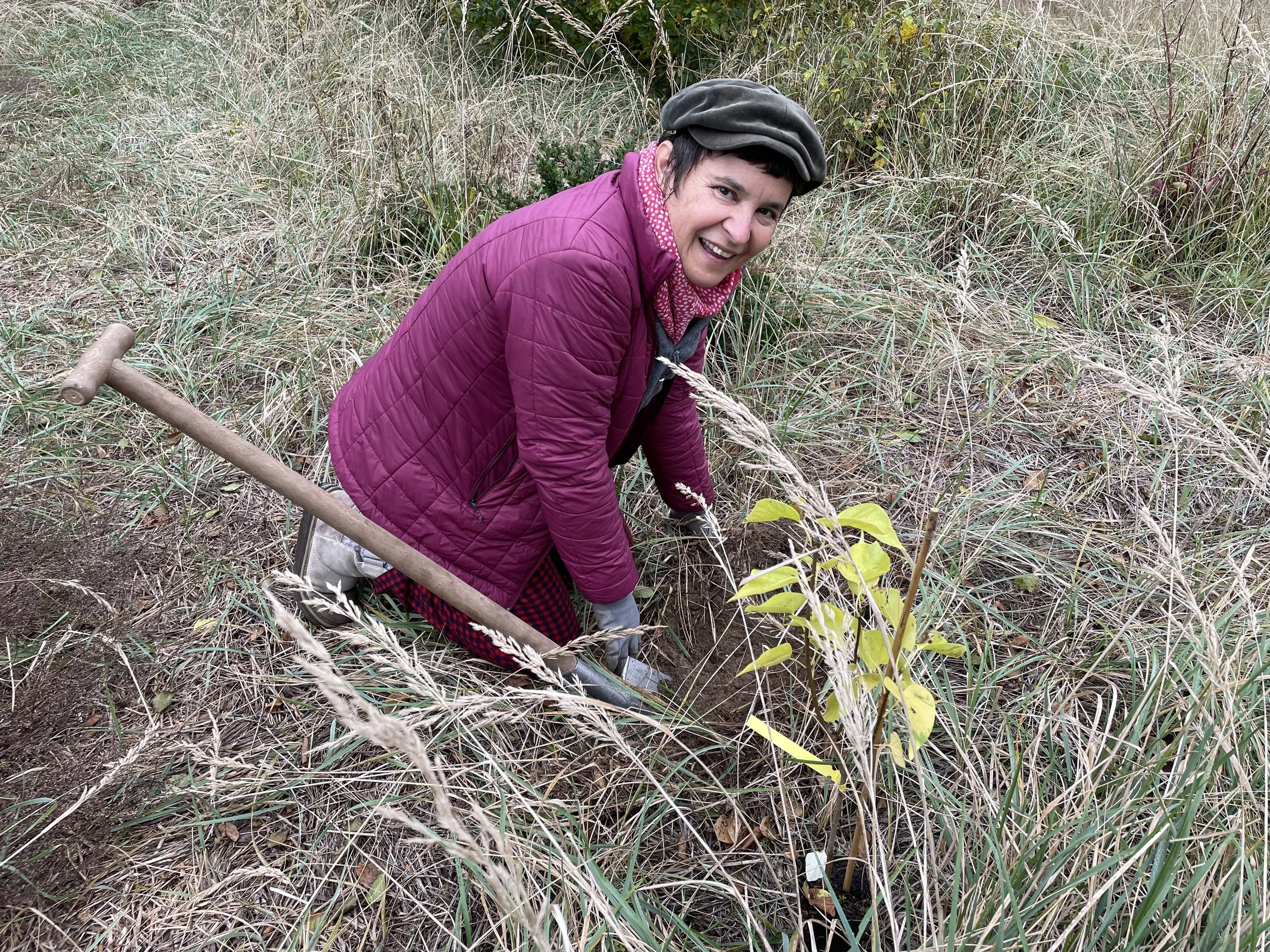 PERMACULTURE WORKDAYS 2026
