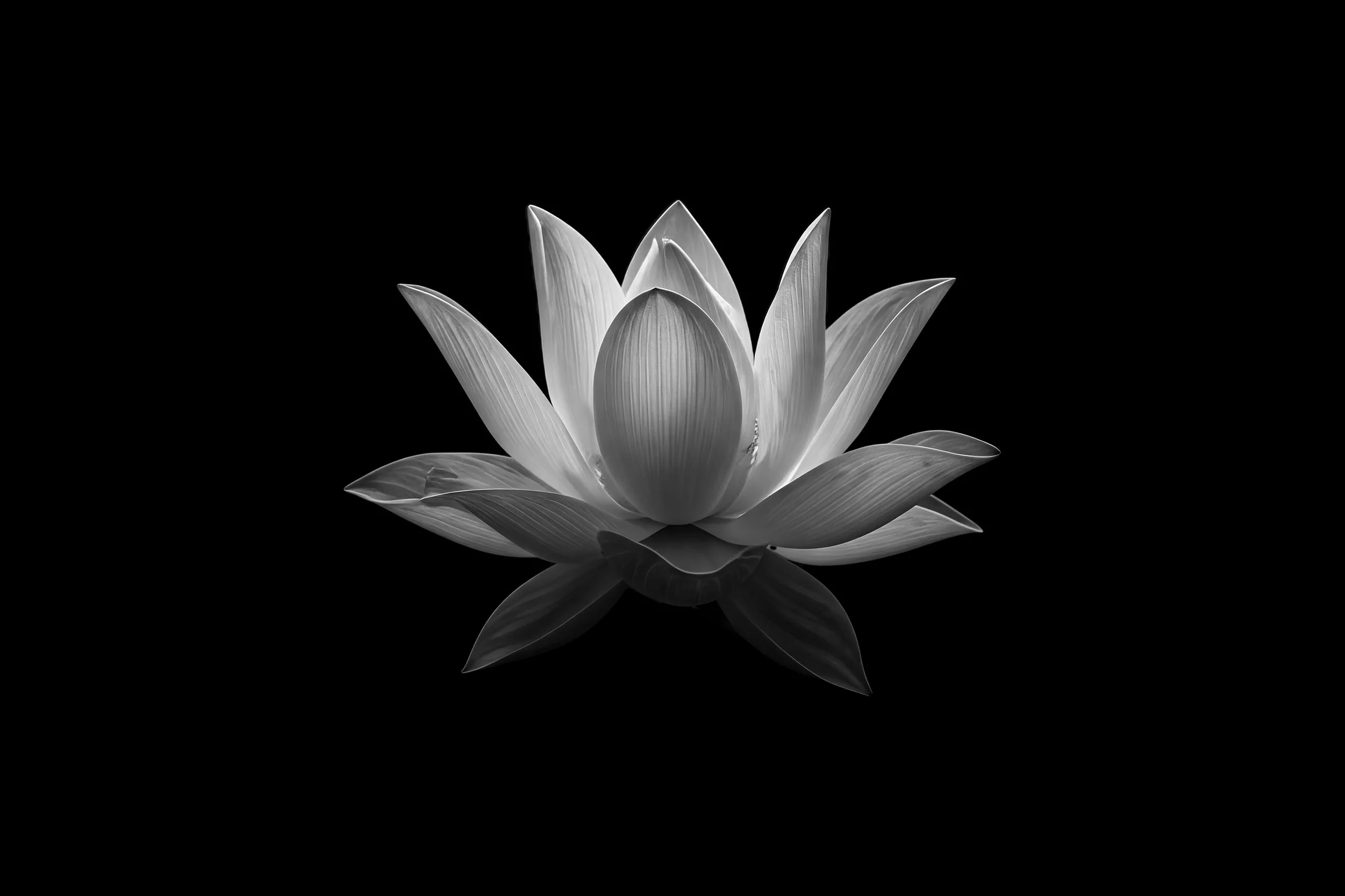 INNER NATURE