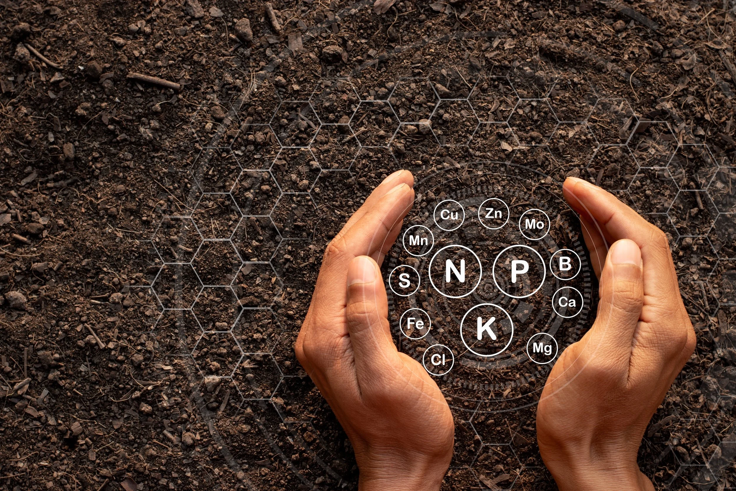 SOIL HEALTH = GUT HEALTH