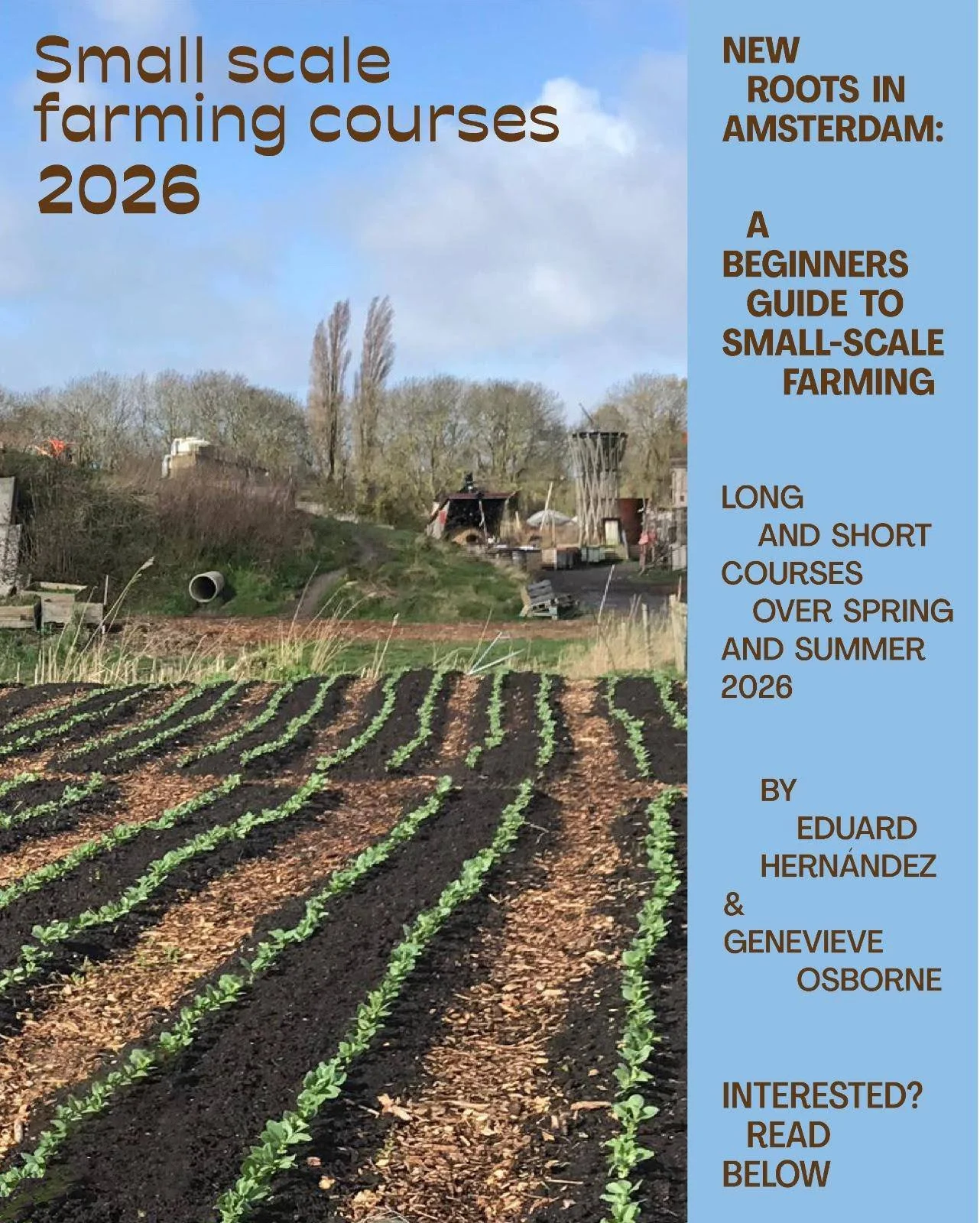 New roots in Amsterdam: a beginners guide to small-scale farming 