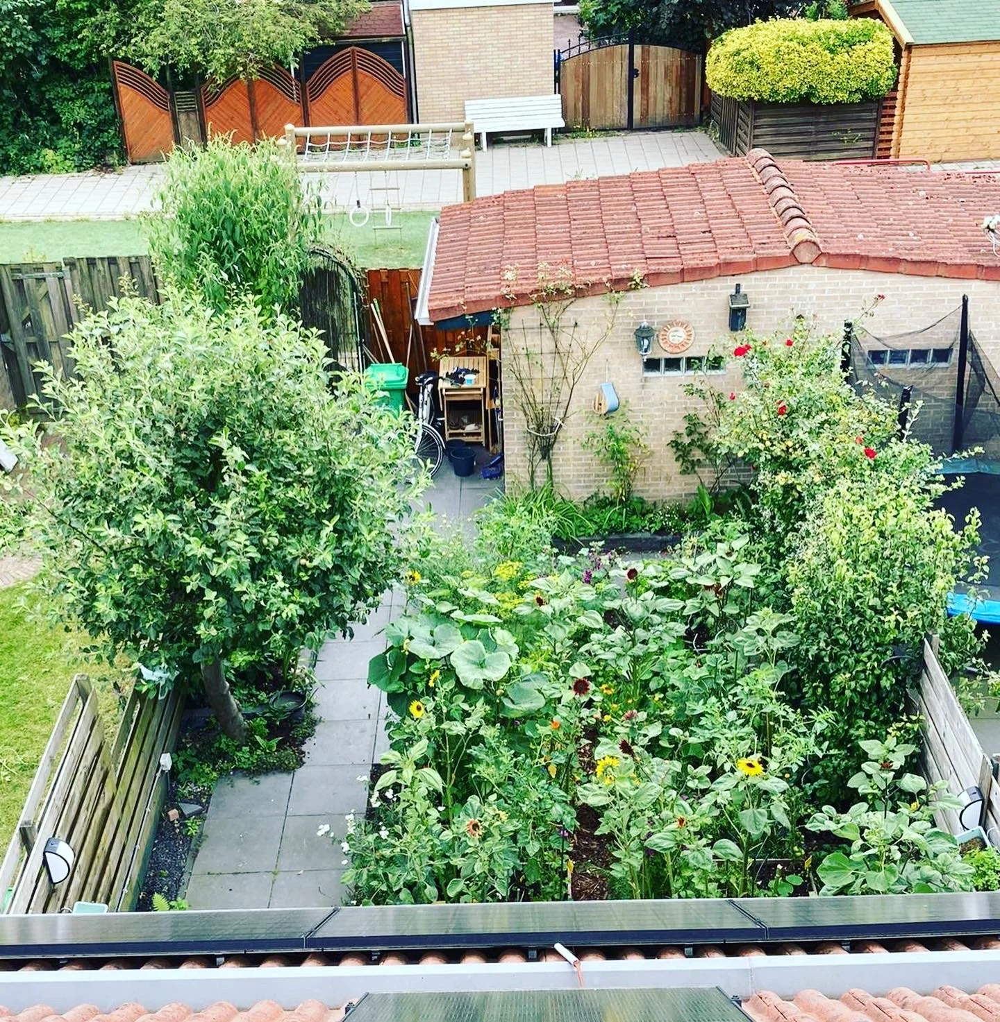 12.aerial 1st year best.JPG