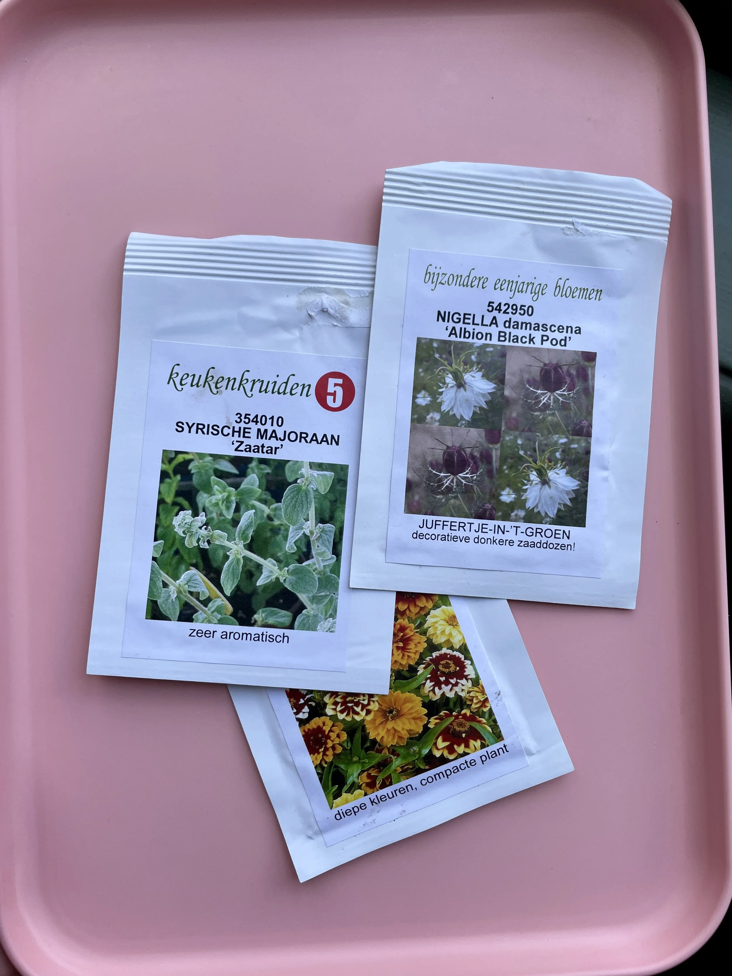 Zaatar and flowers.JPG