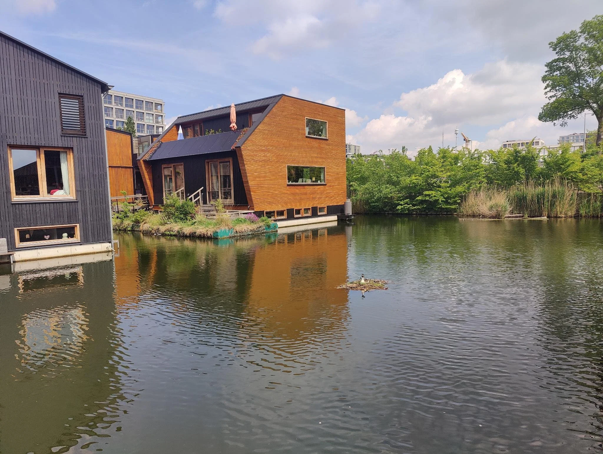schoonschip2.jpeg