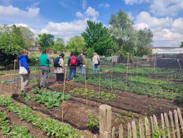 moestuin1.png