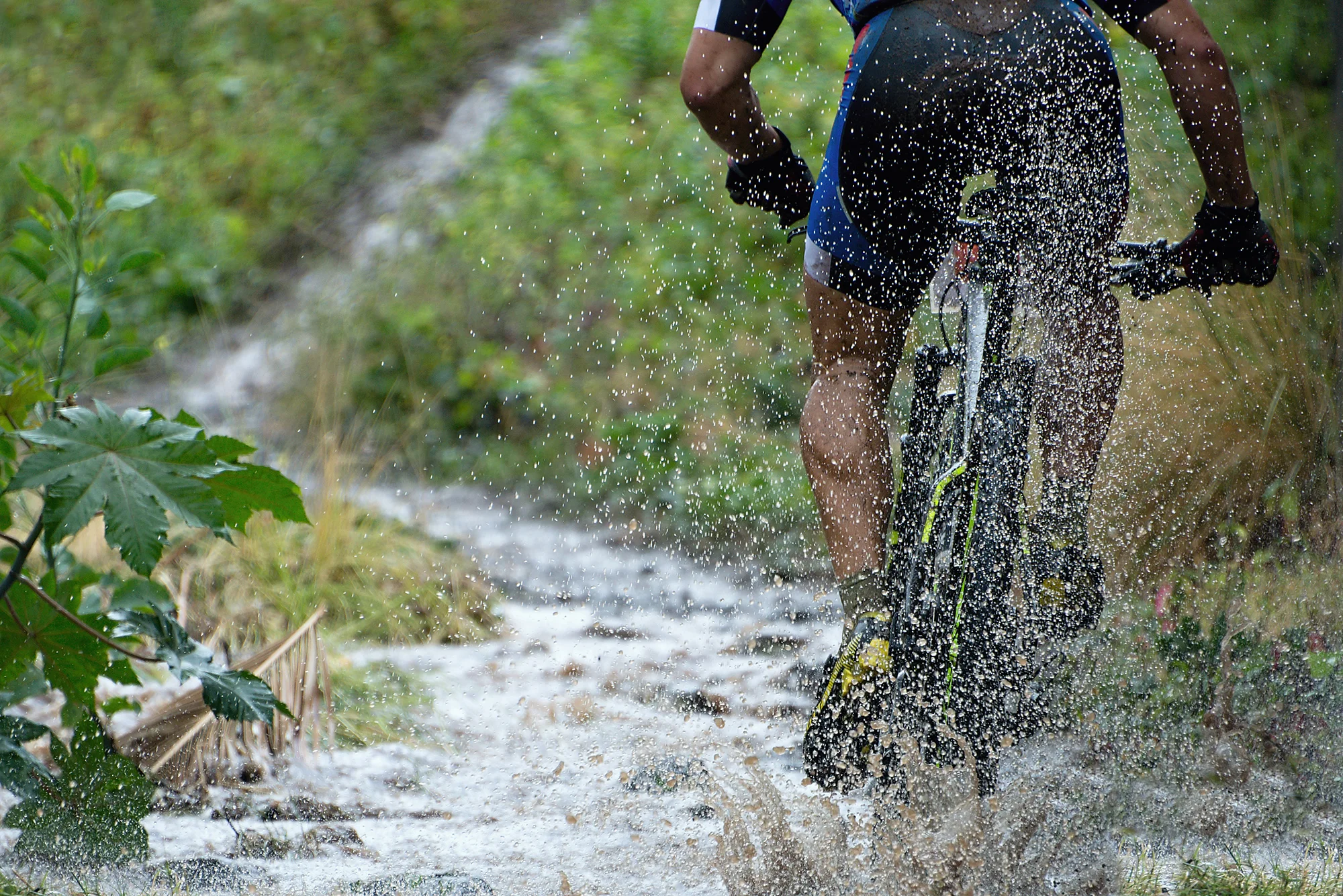 Cykla mountainbike i Sälen
