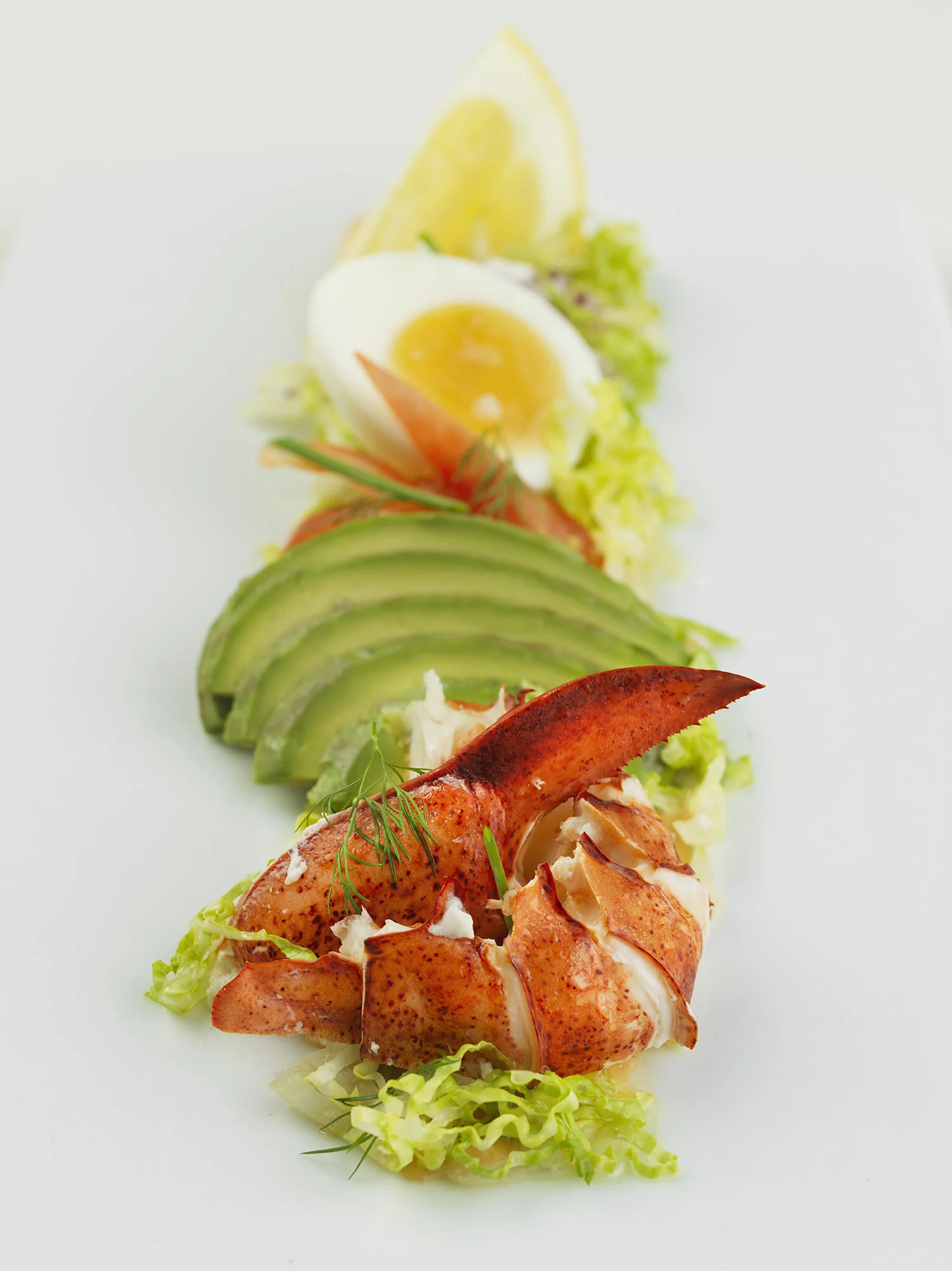 Lobster salad.jpg