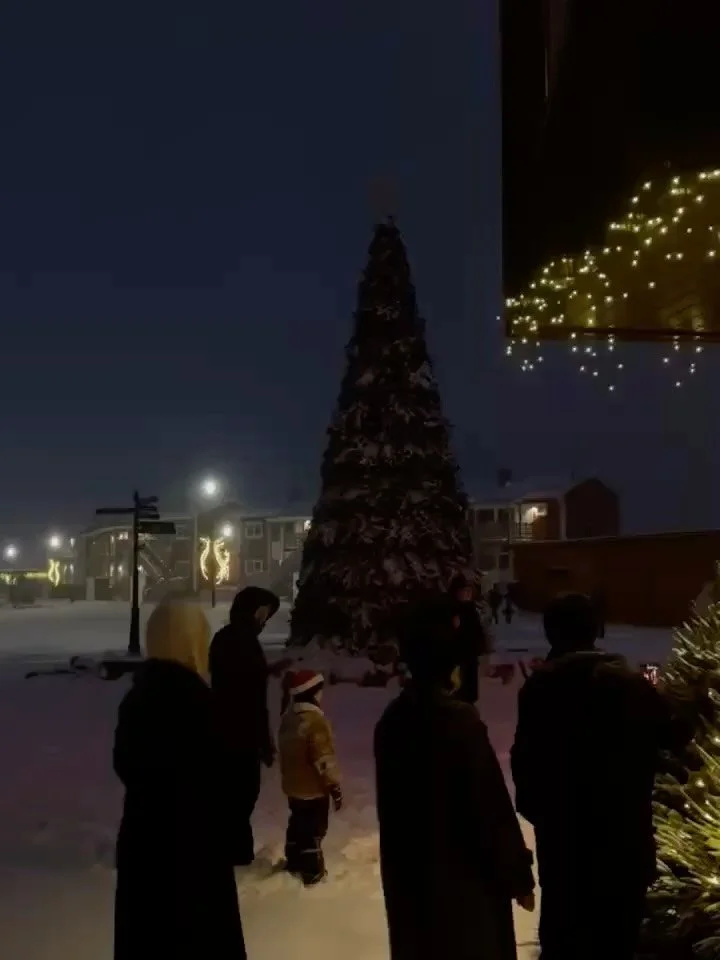 Nu &auml;r julen officiellt p&aring; H&ouml;gis! Granen &auml;r t&auml;nd och det blev en riktigt mysig f&ouml;rsta advent. 🎄

Nu myser vi hela v&auml;gen fram till jul. 
12 december &ouml;ppnar liften p&aring; H&ouml;gis och vi k&ouml;r Winter Seas