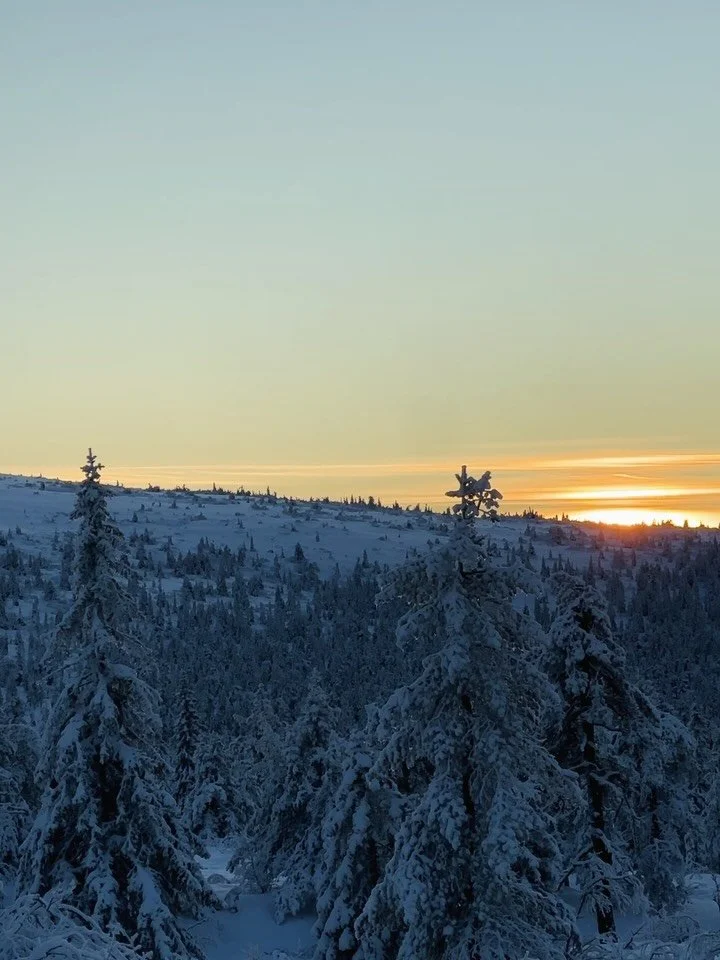Milj&ouml;erna runt oss har kl&auml;tt sig i vinterskrud senaste dagarna och p&aring; fredag &ouml;ppnar backarna hos oss ❄️❤️🎿