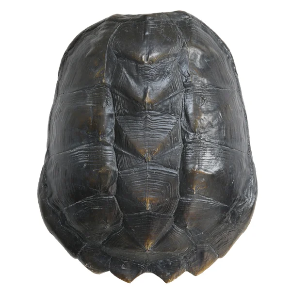 turtle shell blk.jpg
