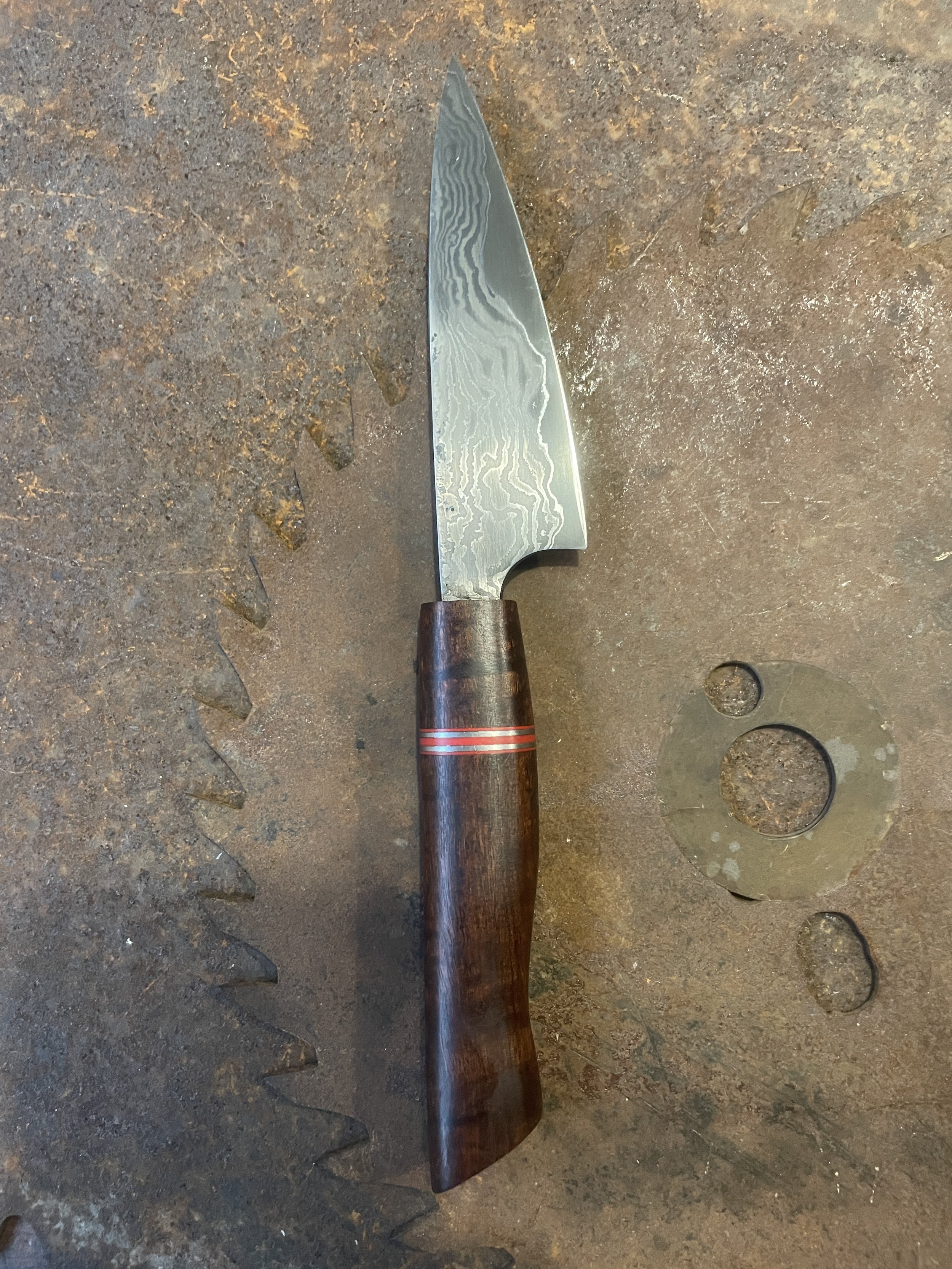 damascus paring knife