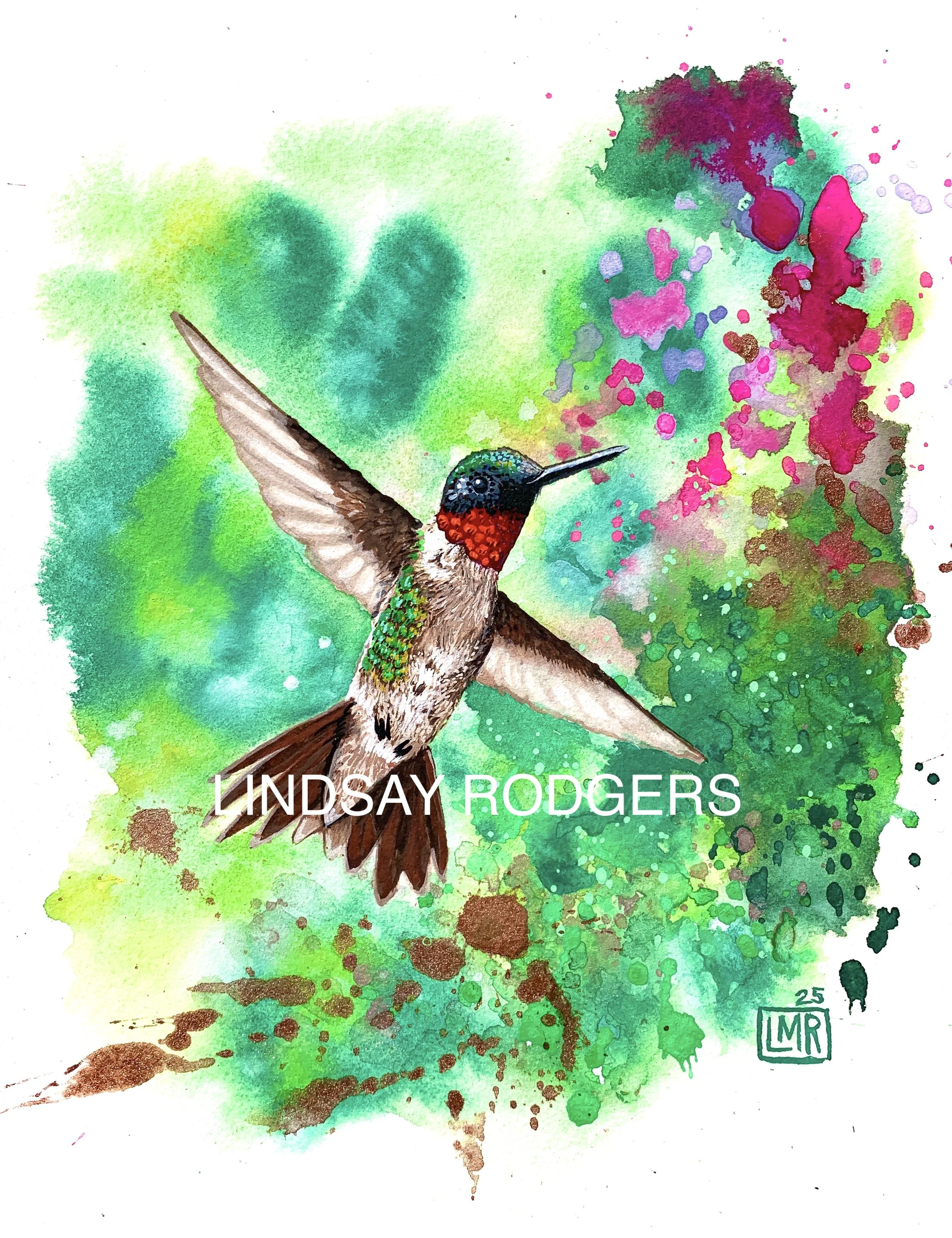 The Hummingbird.jpg