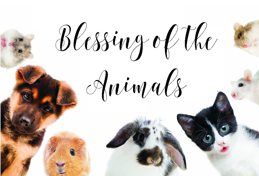 Blessing of the Animals Drive-Thru