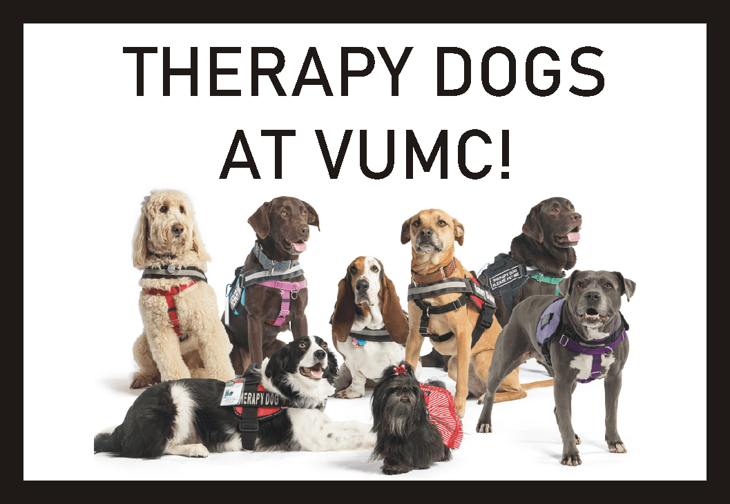 Therapy Dogs