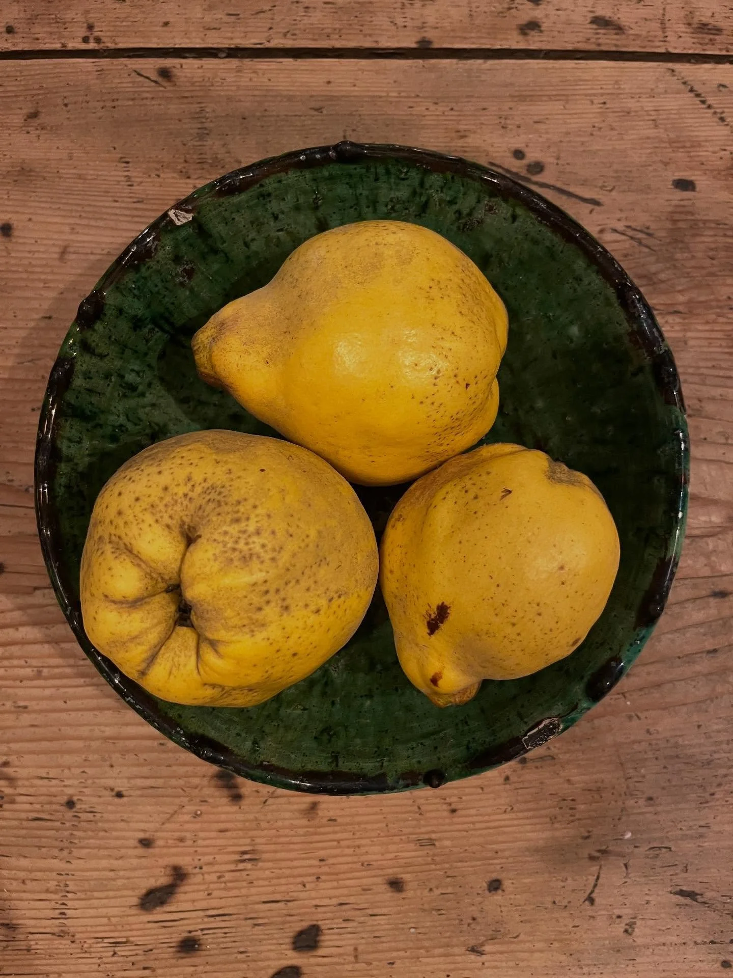 💛The Quince 💛- apparently in ancient Greece, quinces were a ritual offering at weddings, and brides and grooms were directed to nibble on a quince to sweeten their breath and ensure fertility before entering the bridal chamber. 
🙄 they also look a