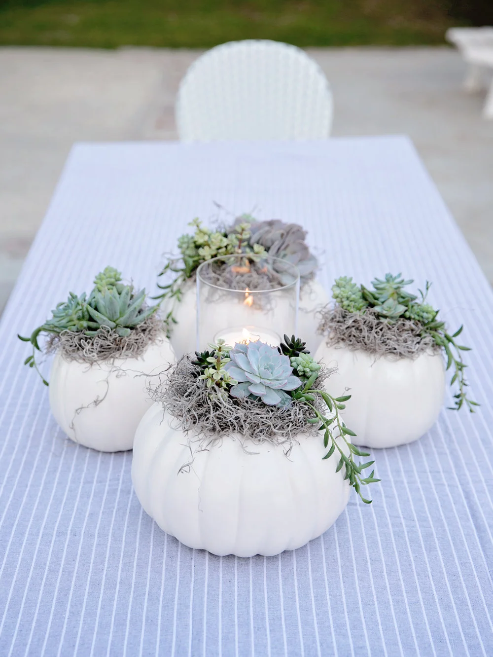 Lori+Ovanessian-7371.jpg