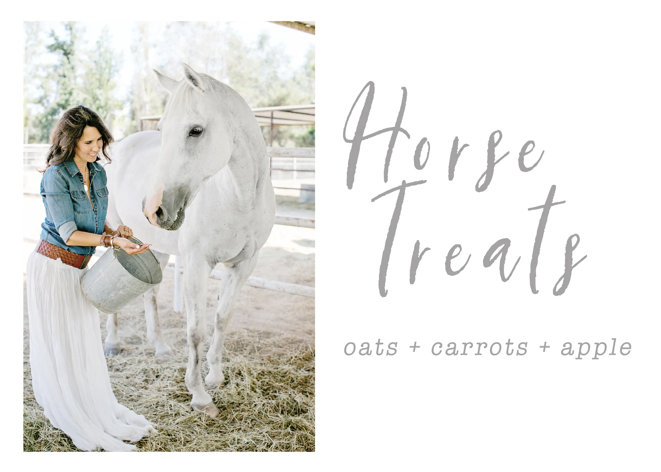 Horse Treat Blog.jpg