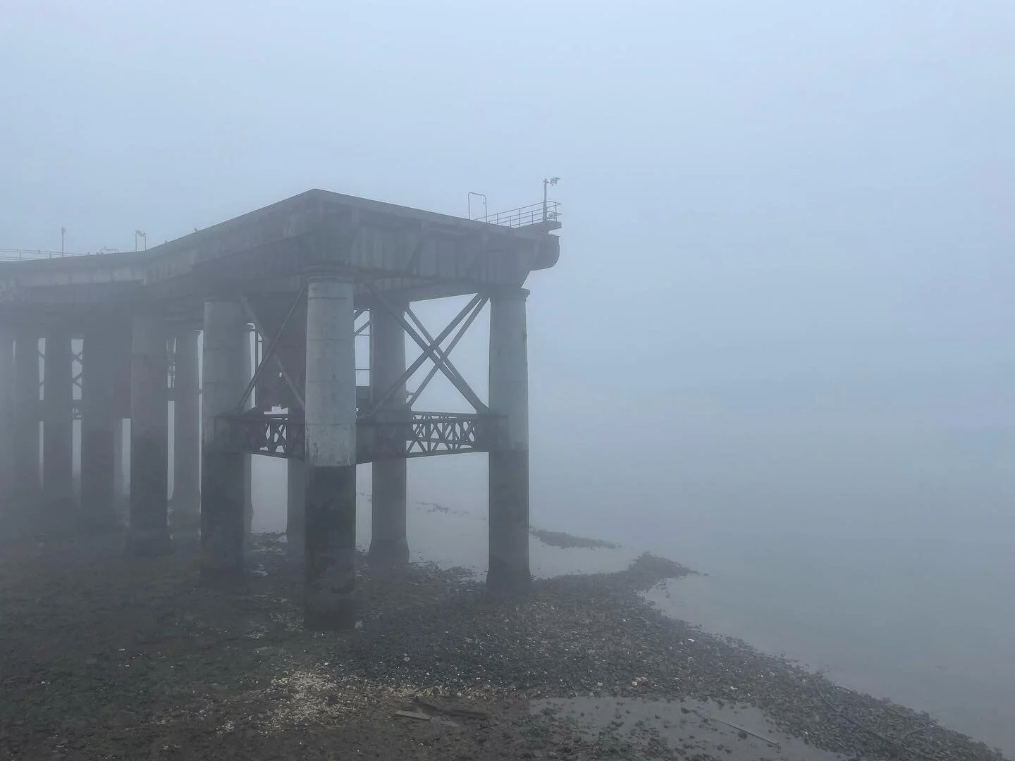 Where are all the things? 

#londonfog #foggymorning #whatisfog #whyisfog #dogandfog