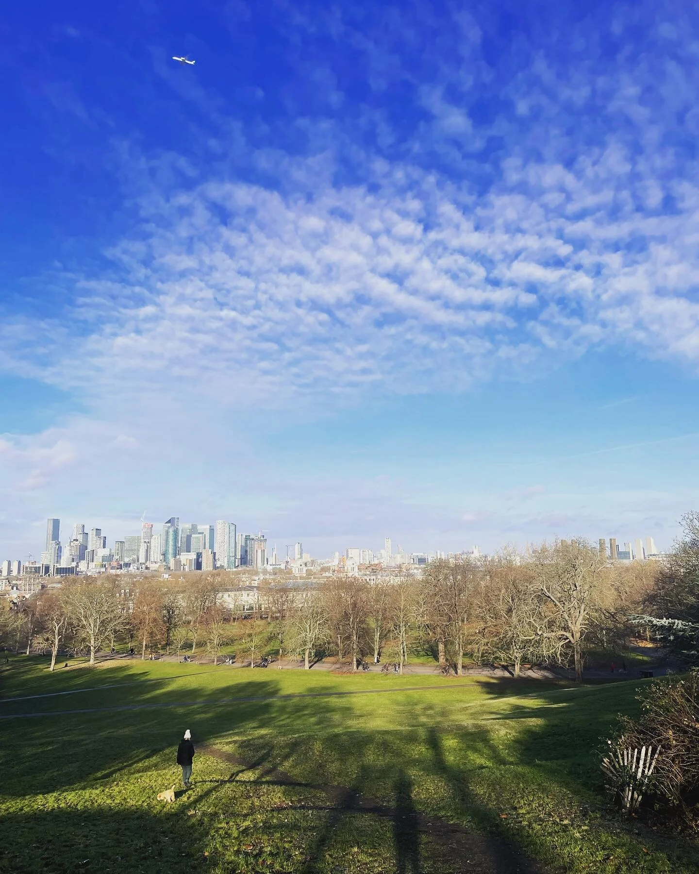 Wife 👱🏻&zwj;♀️, dog 🐶, shadow 👤 and plane ✈️ . Spot them all, collect an arbitrary prize.

#greenwichpark #bluesky #dogwalk #cavapoo #randomhashtag #thisiswhatwedonow